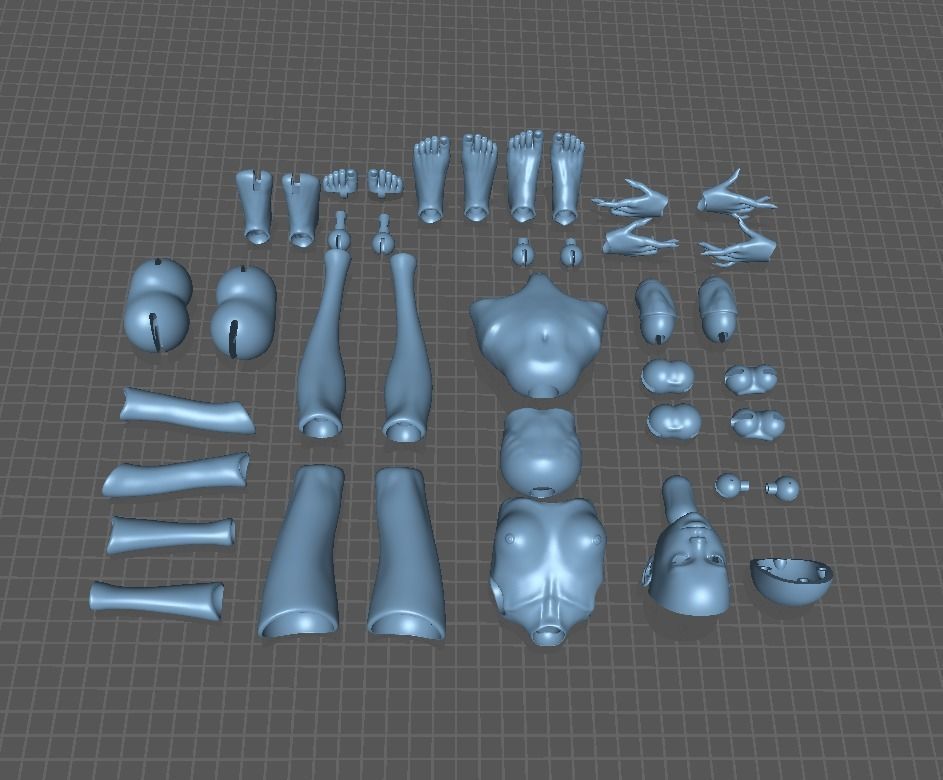 BJD doll Adela Movable 40cm 3D print model_17