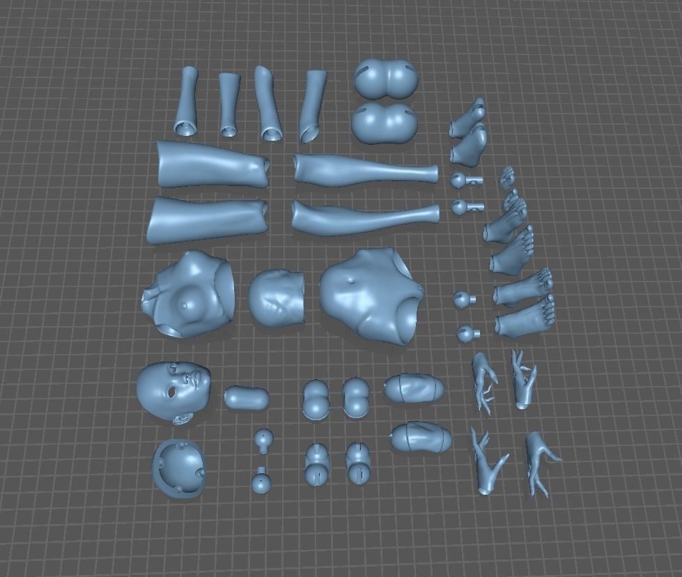 BJD doll Adela Movable 40cm 3D print model_15