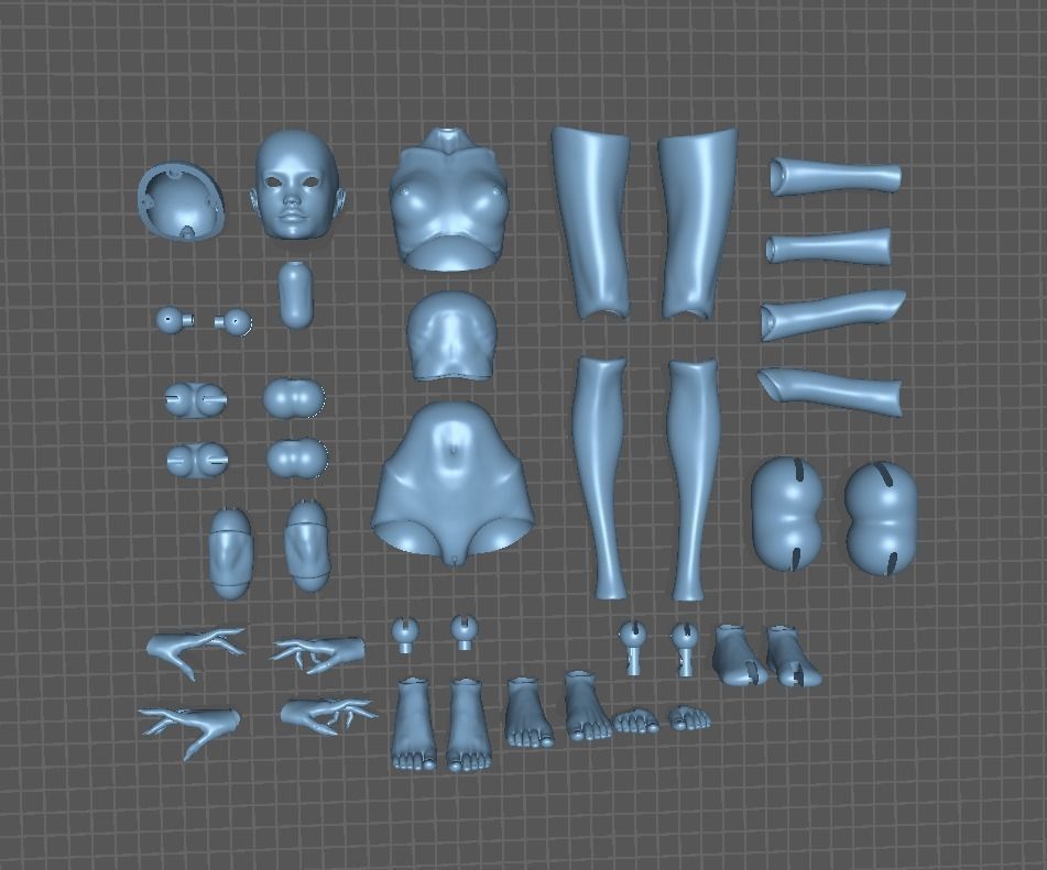 BJD doll Adela Movable 40cm 3D print model_12