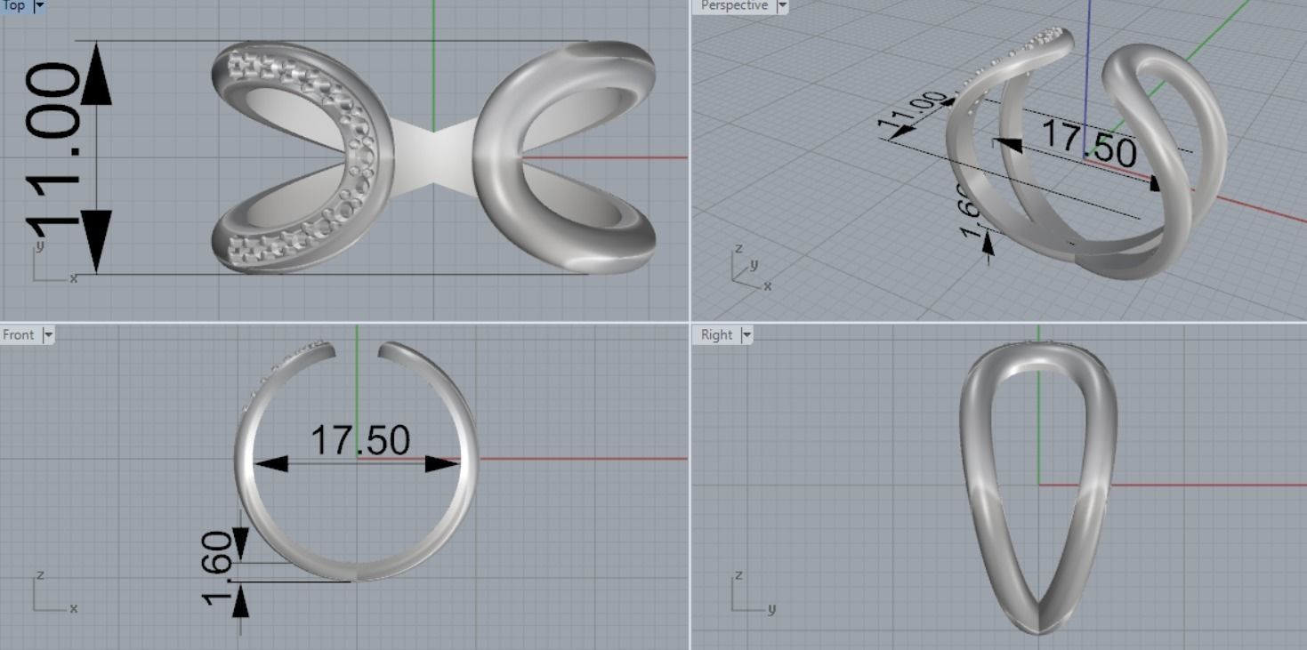 beautiful ring 3D print model_6