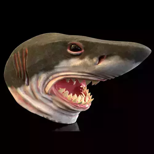 SHARK MASK