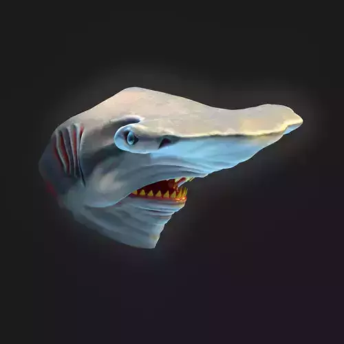 hammerhead shark mask