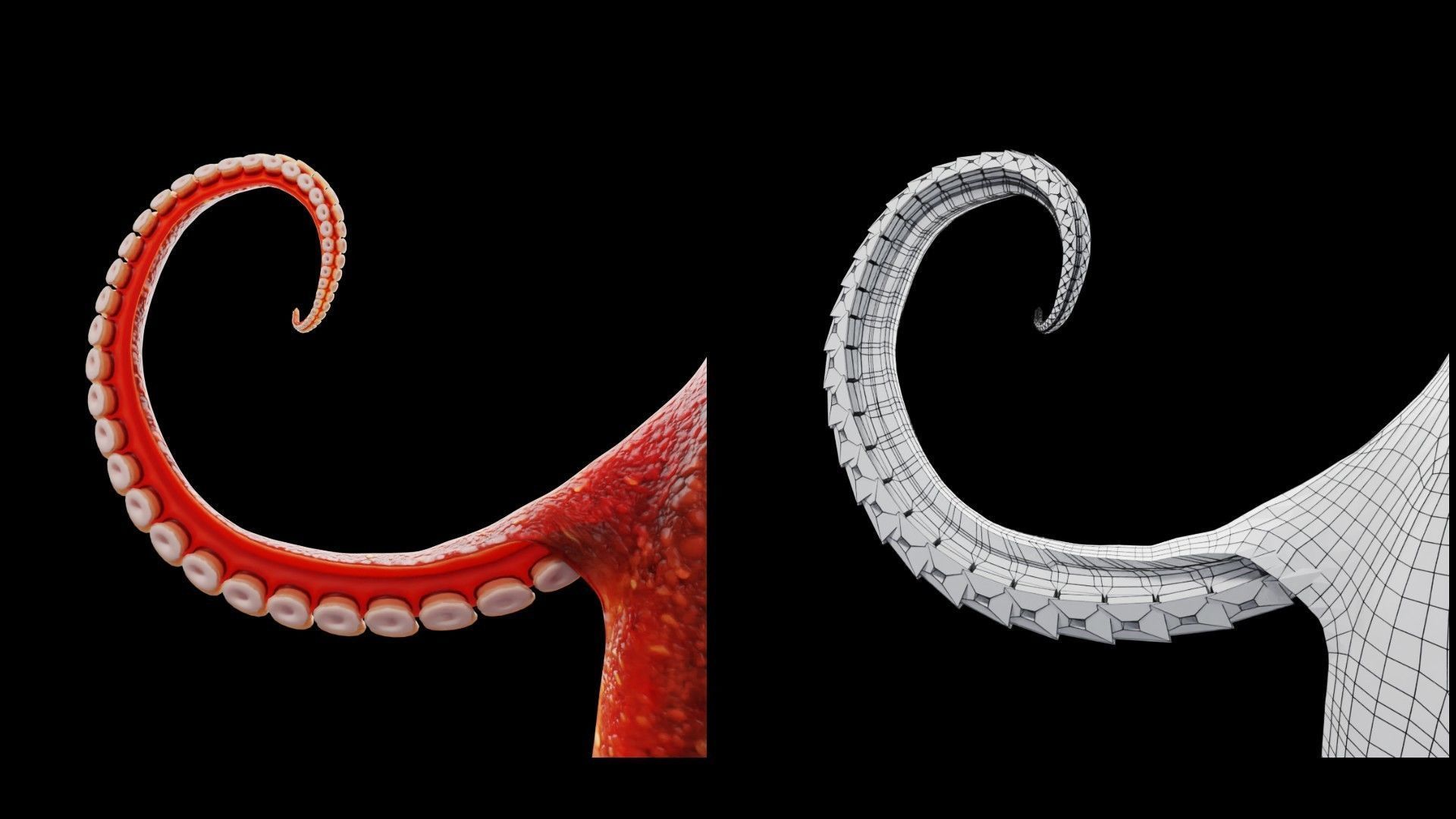 Animated Octopus Low-poly 3D model_5