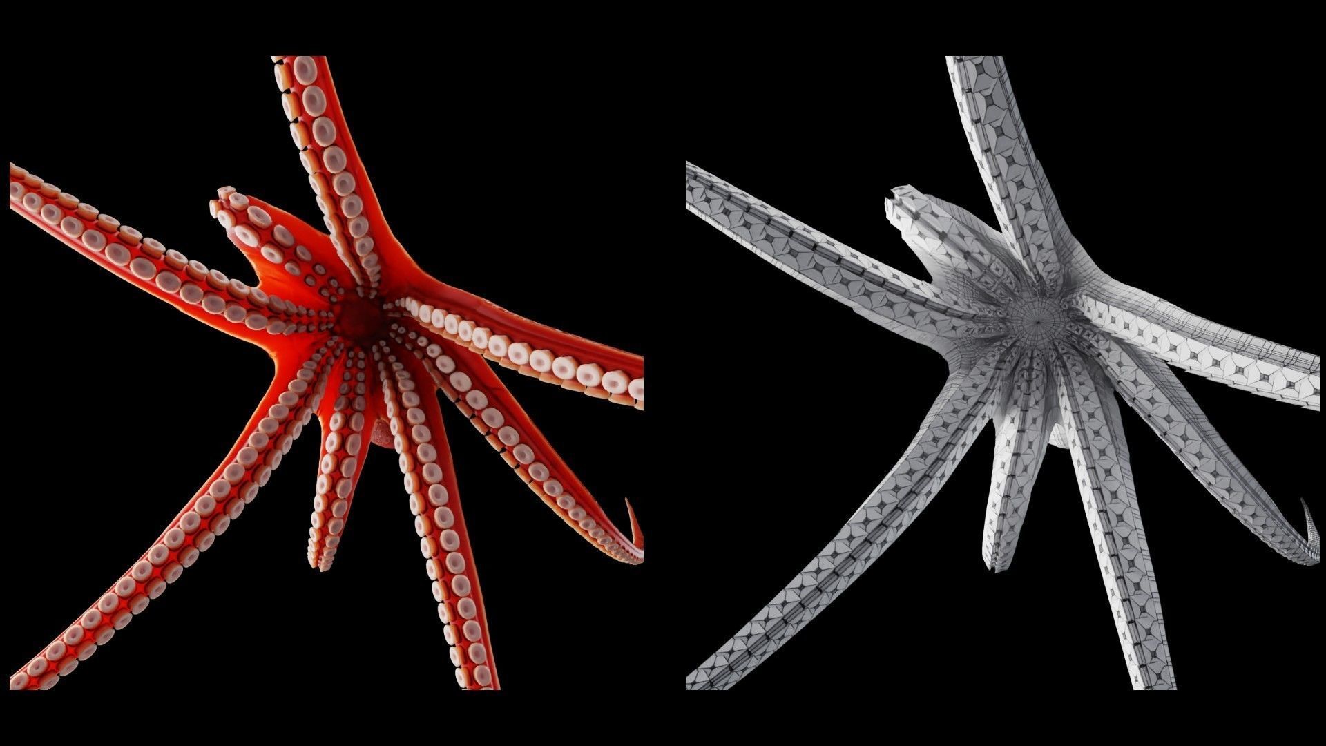 Animated Octopus Low-poly 3D model_6