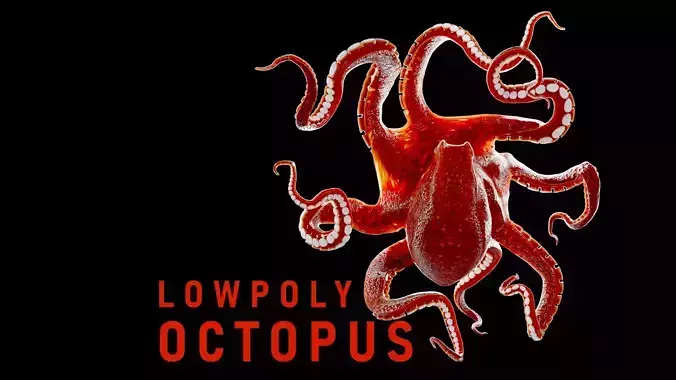Animated Octopus Low-poly 3D model
