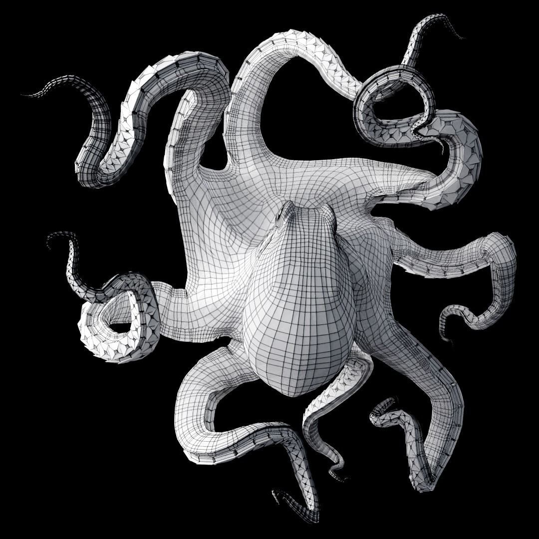 Animated Octopus Low-poly 3D model_13
