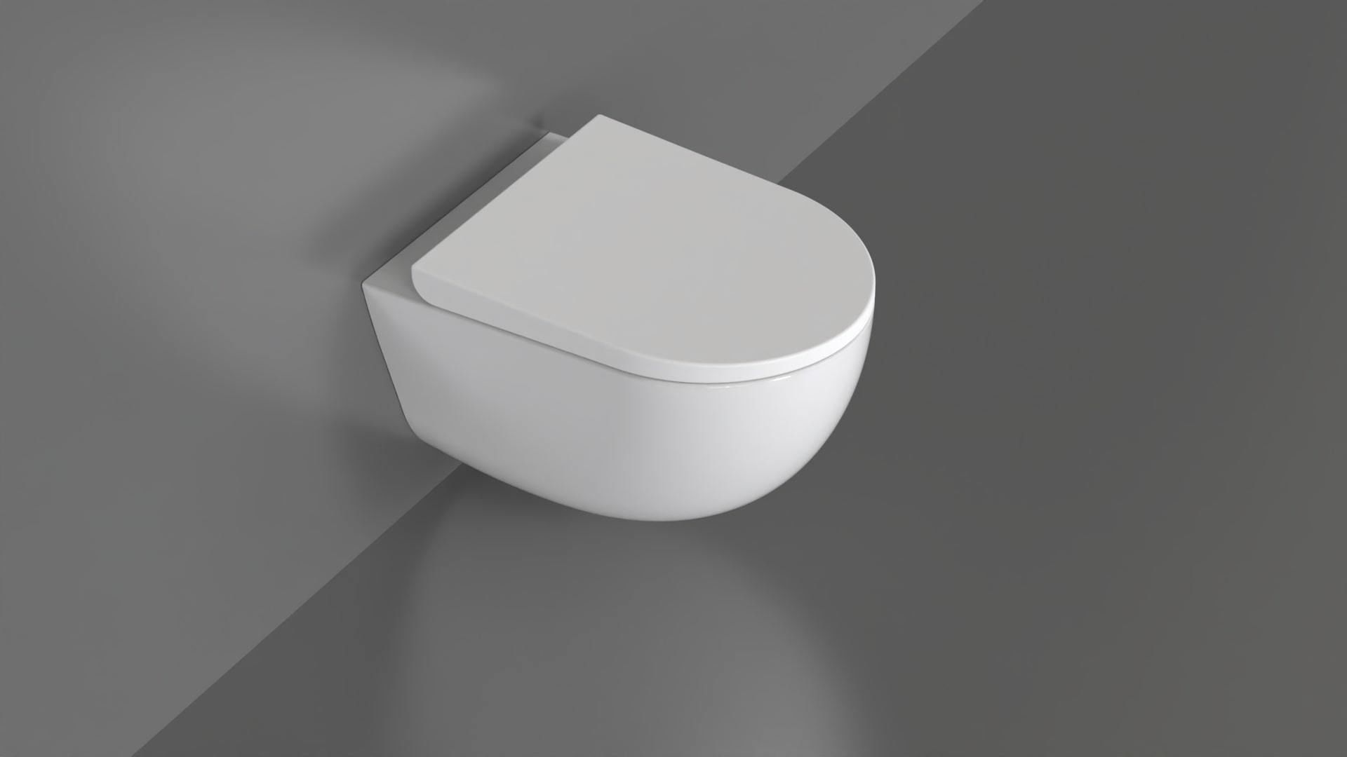 WC9 Toilet 3D model_3