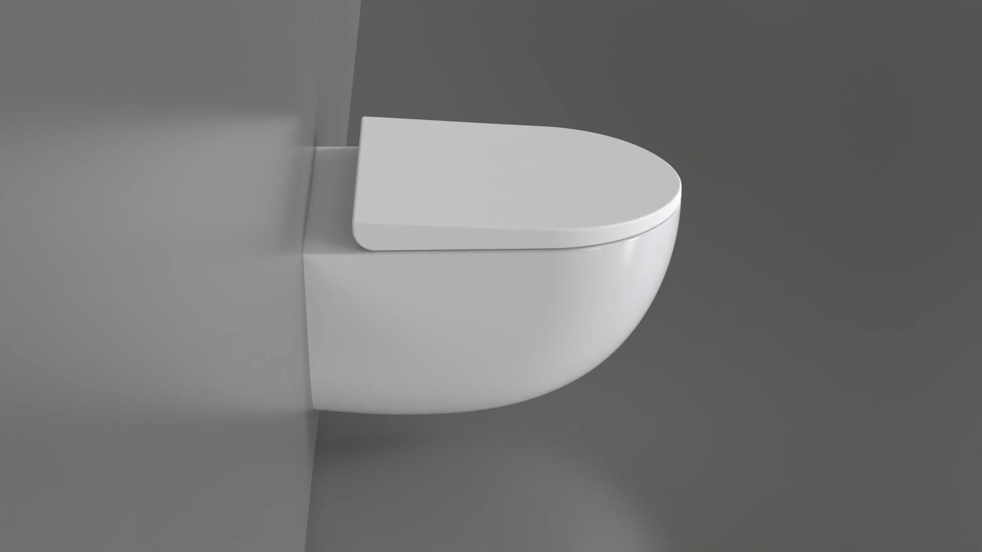 WC9 Toilet 3D model_1