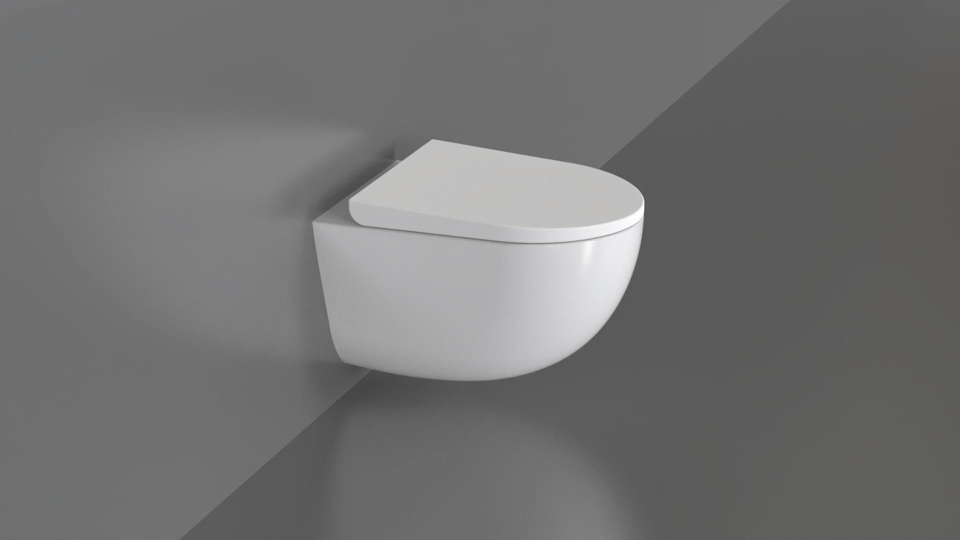 WC9 Toilet 3D model_2