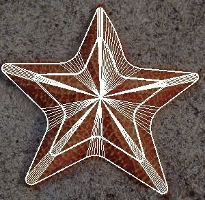 Starfish 3D model_30