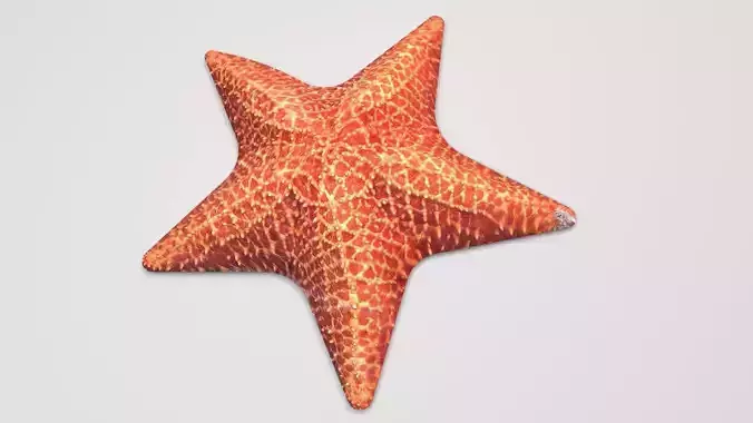 Starfish