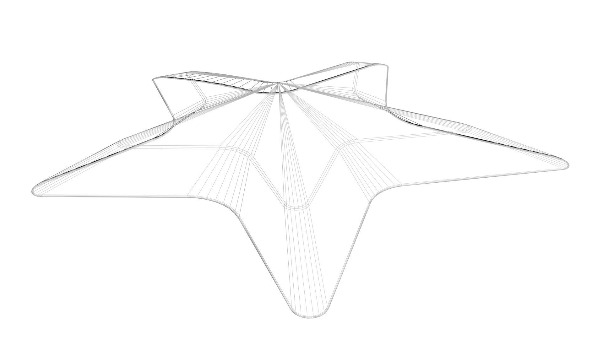 Starfish 3D model_19