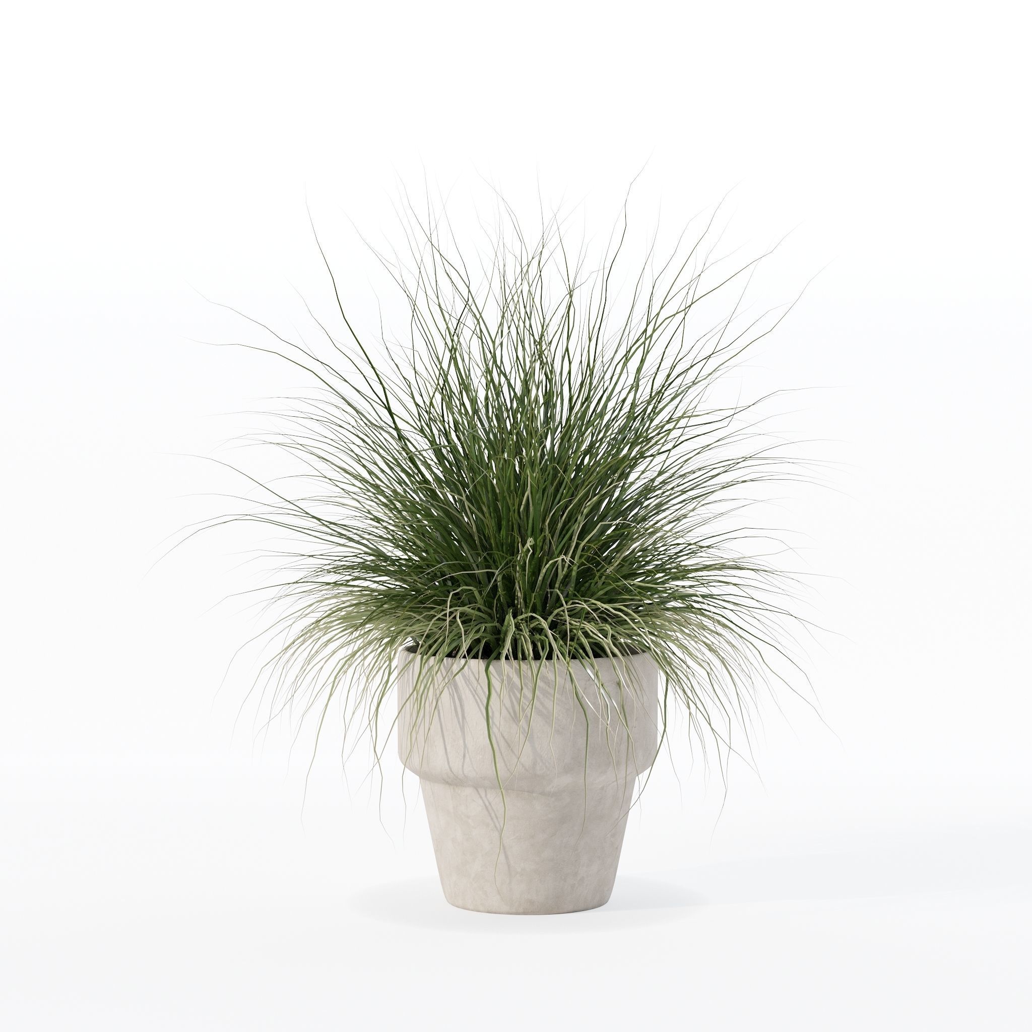 Grass in big flower pot 3D model_29