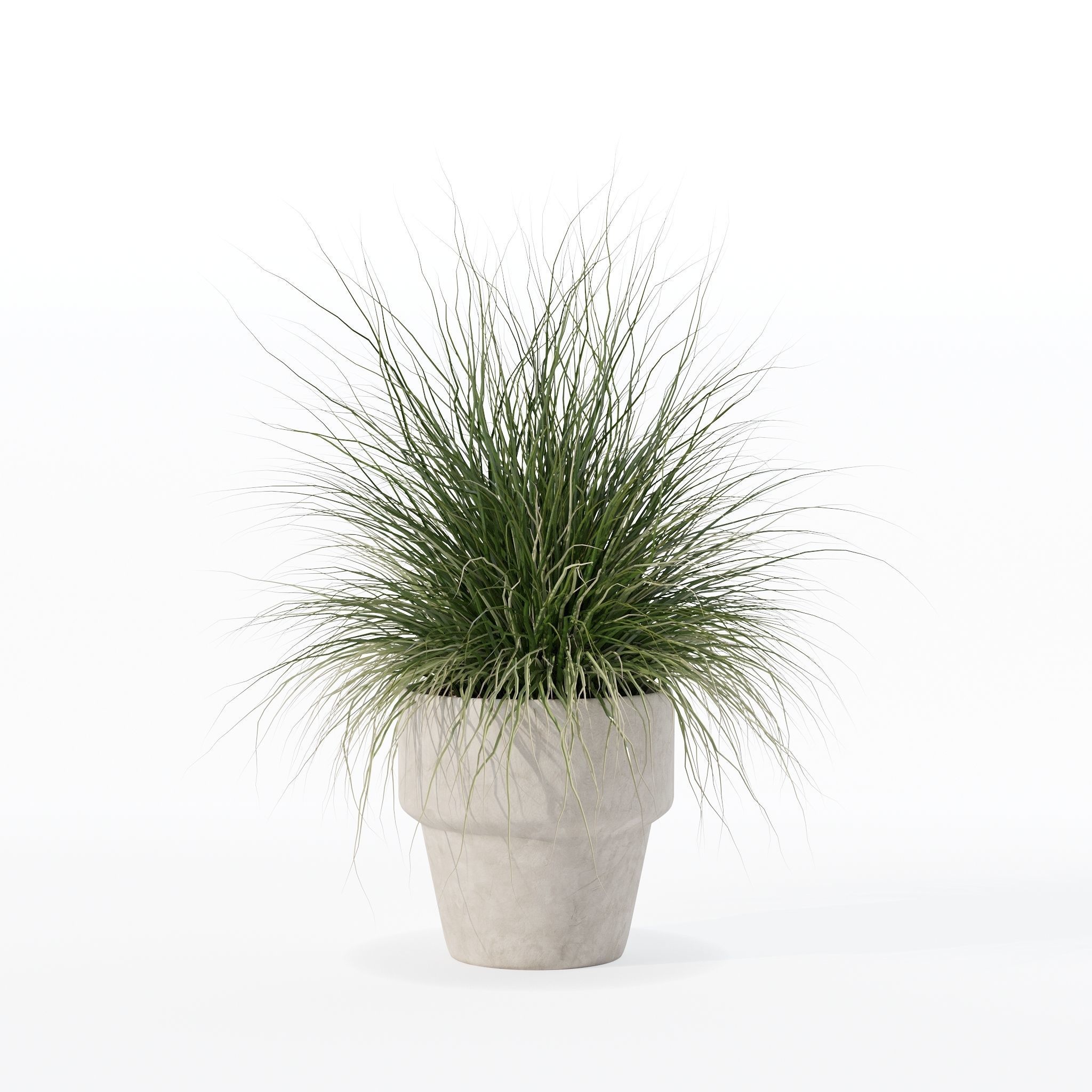 Grass in big flower pot 3D model_15