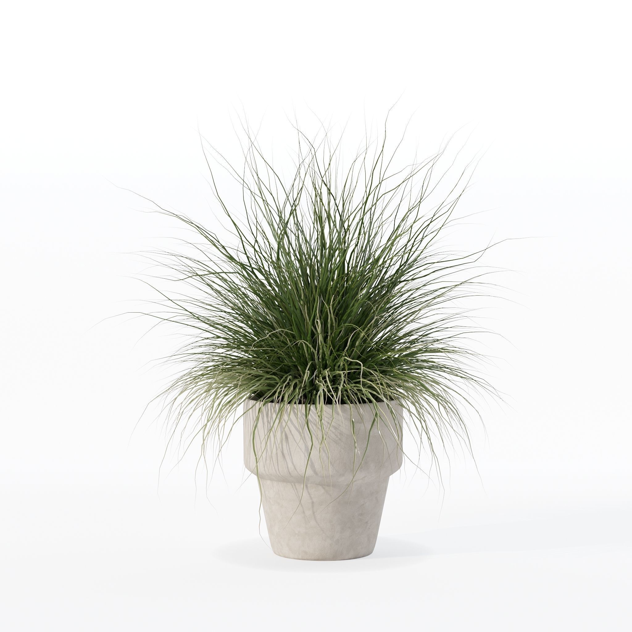 Grass in big flower pot 3D model_19