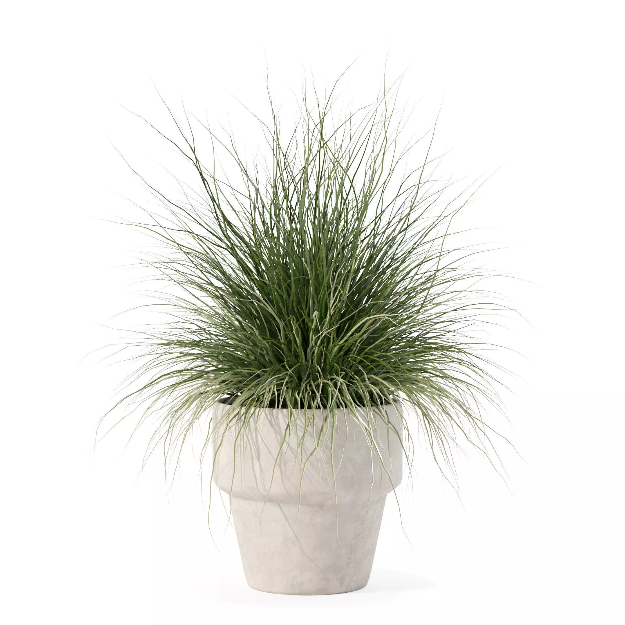 Grass in big flower pot 3D model_0