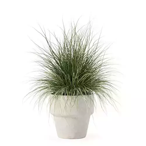 Grass in big flower pot 3D model