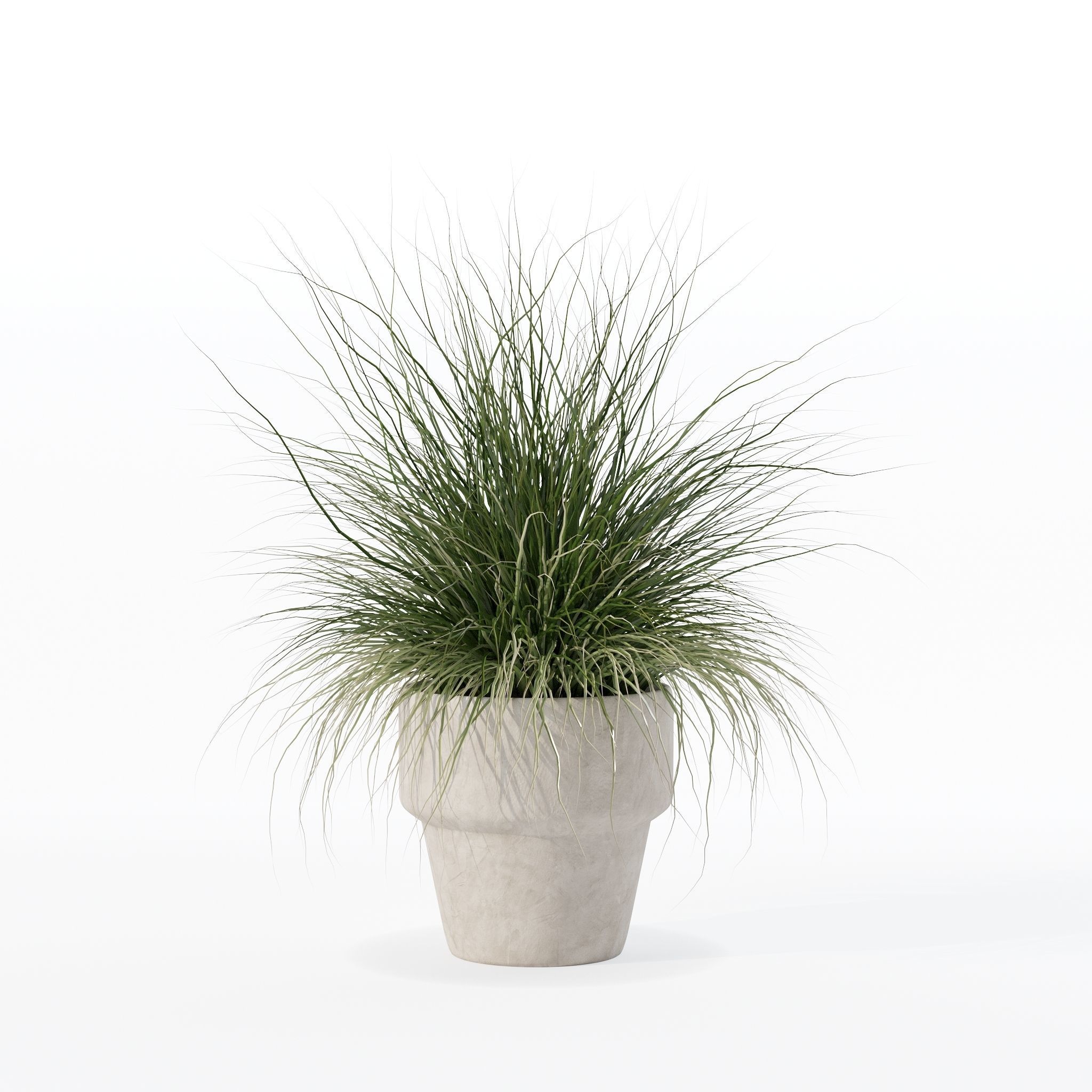 Grass in big flower pot 3D model_23
