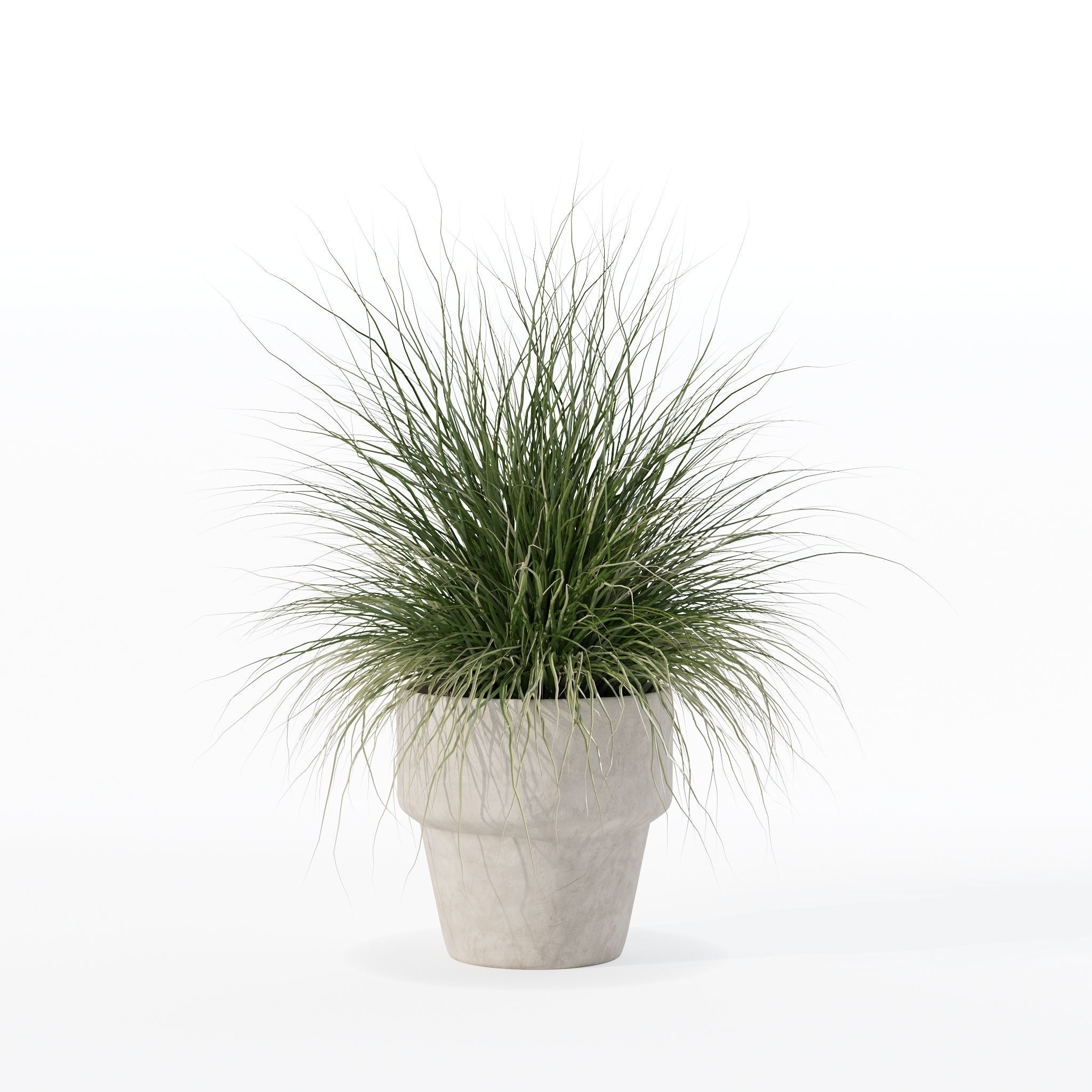 Grass in big flower pot 3D model_6