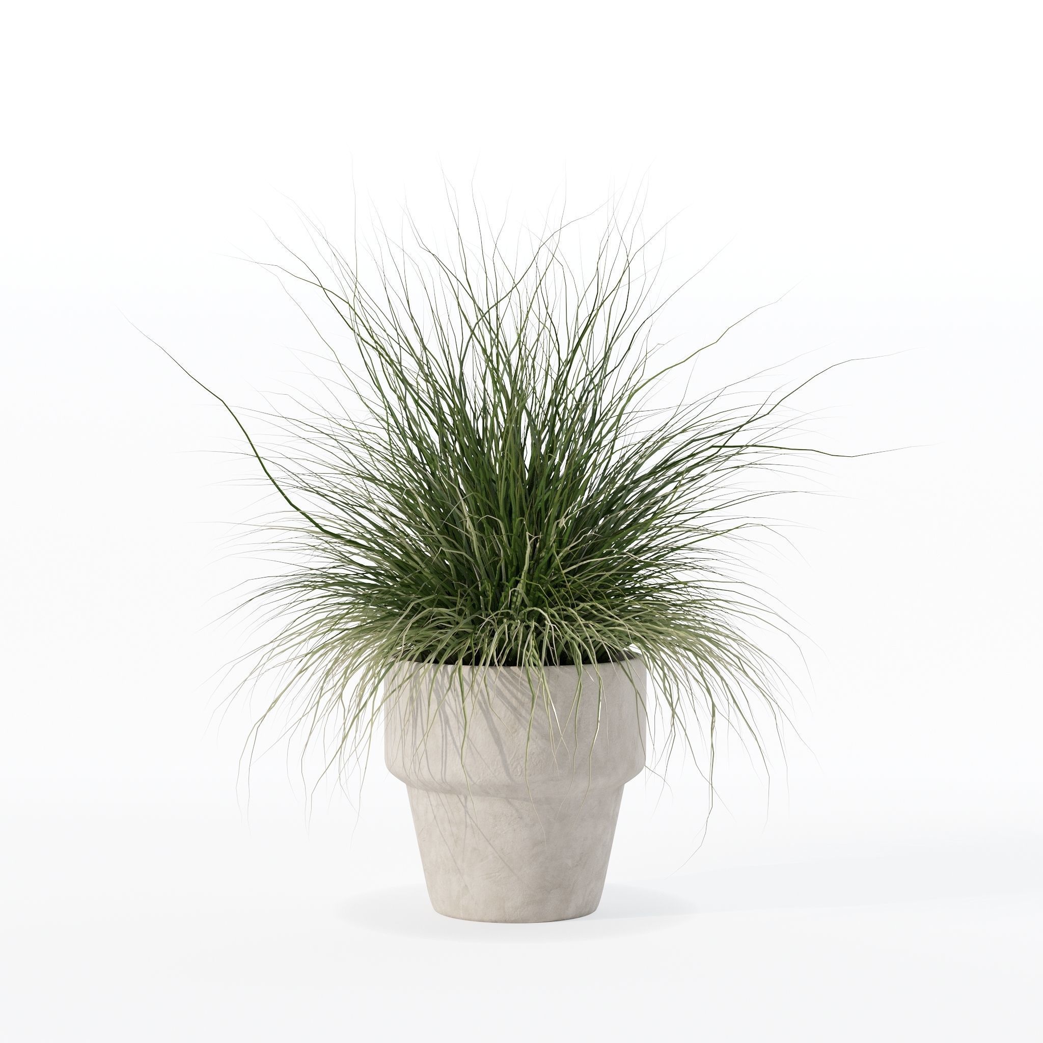 Grass in big flower pot 3D model_18