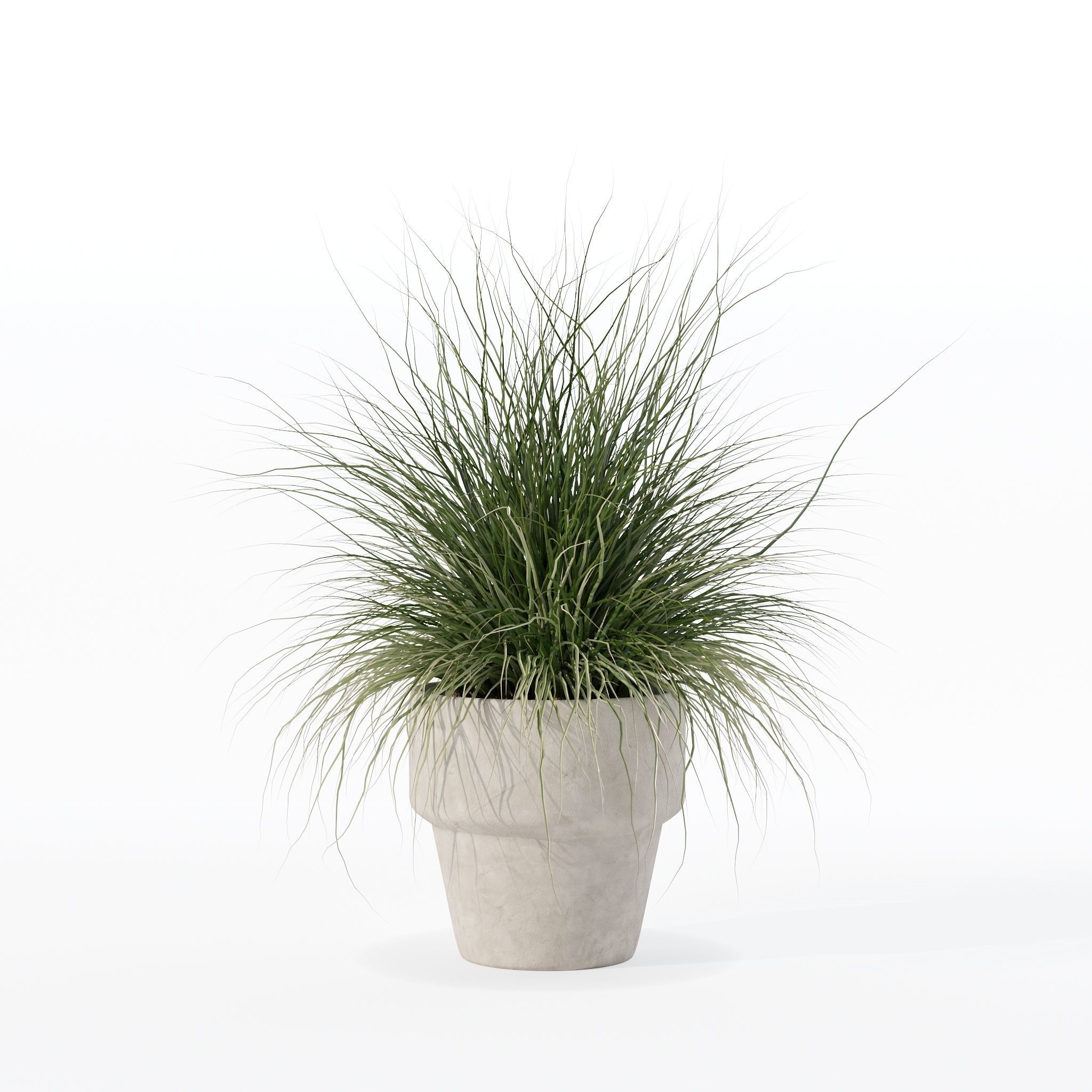 Grass in big flower pot 3D model_22