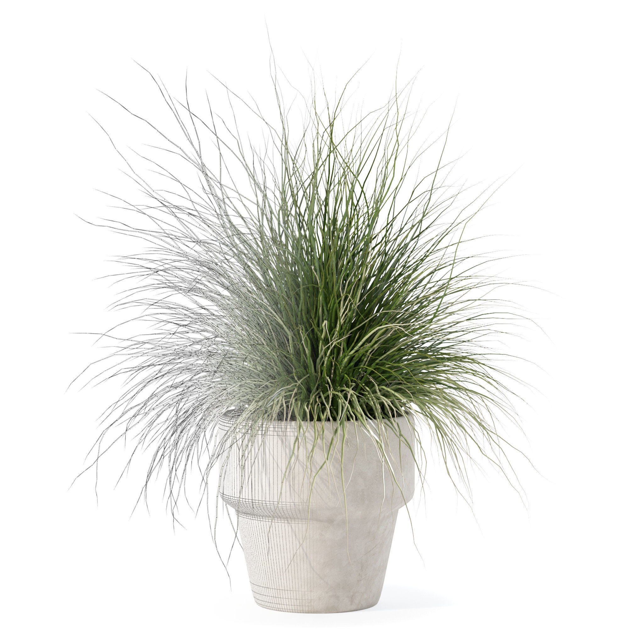 Grass in big flower pot 3D model_2