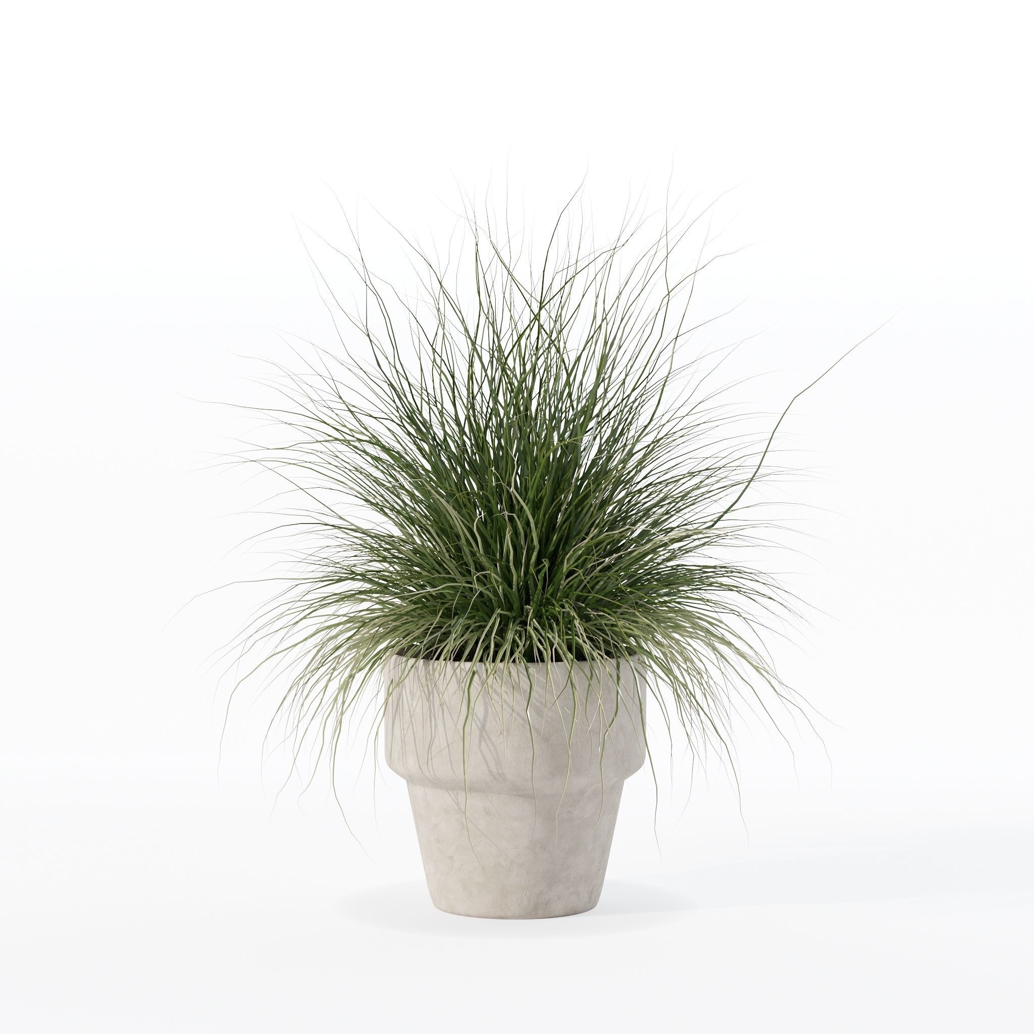 Grass in big flower pot 3D model_24