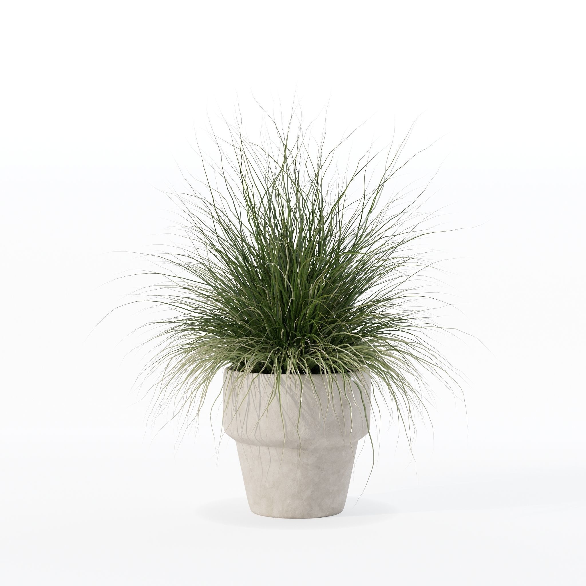 Grass in big flower pot 3D model_16