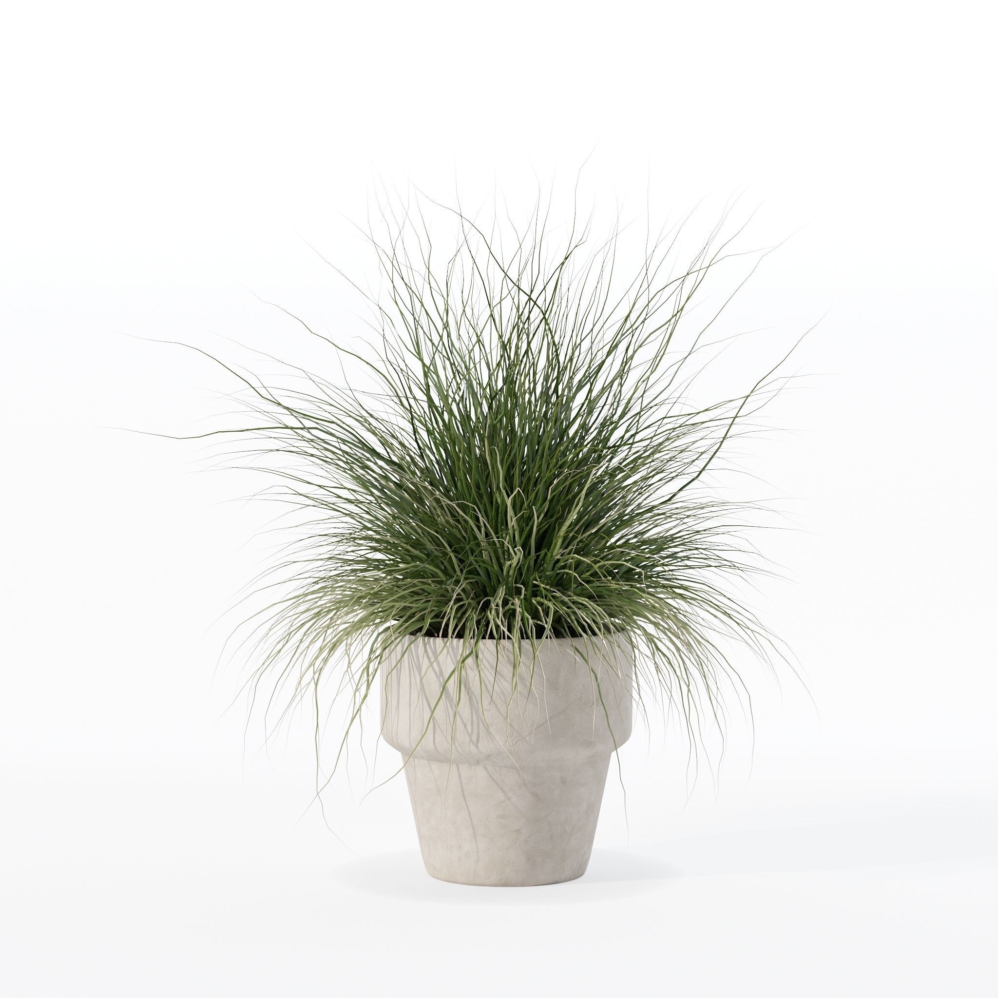 Grass in big flower pot 3D model_26