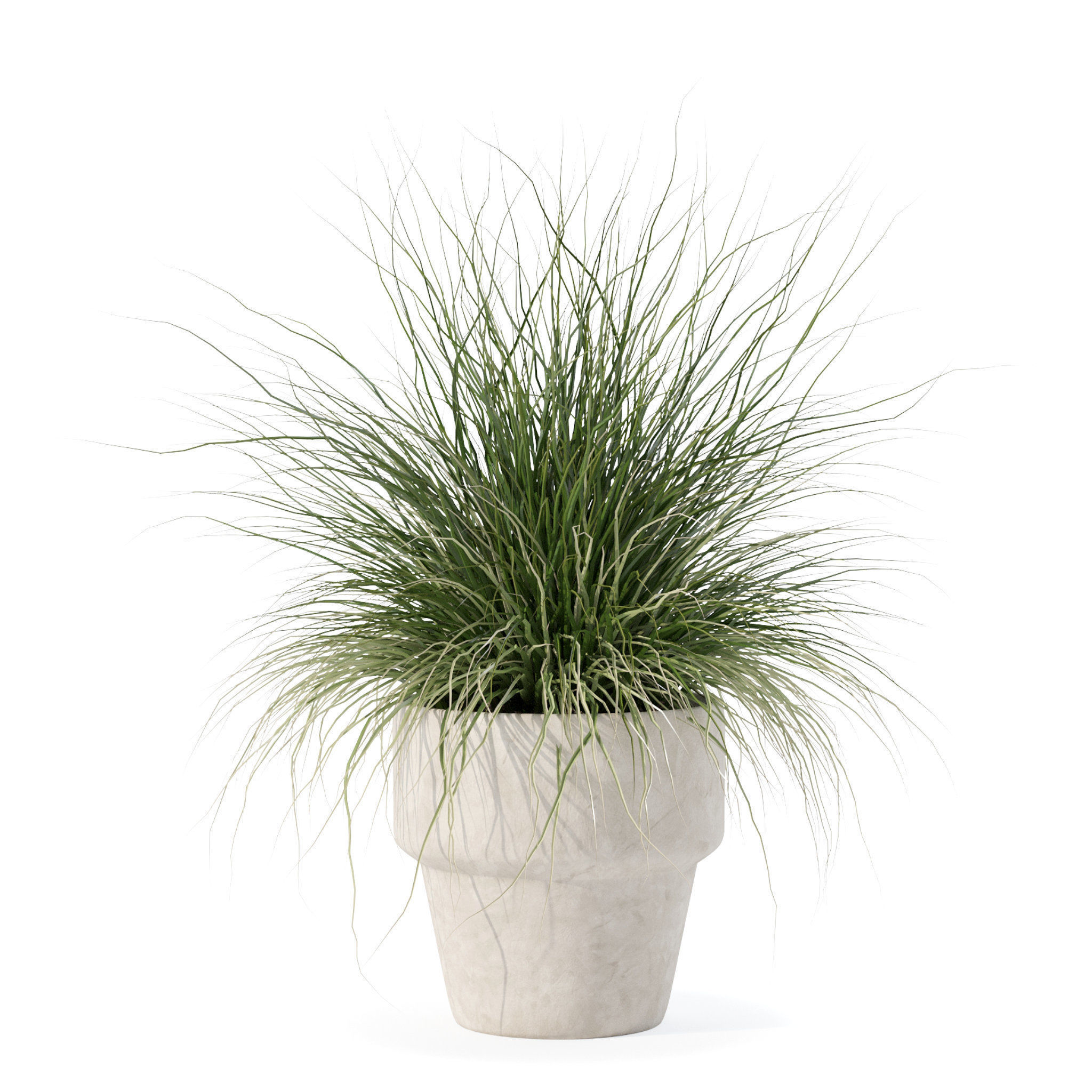 Grass in big flower pot 3D model_5