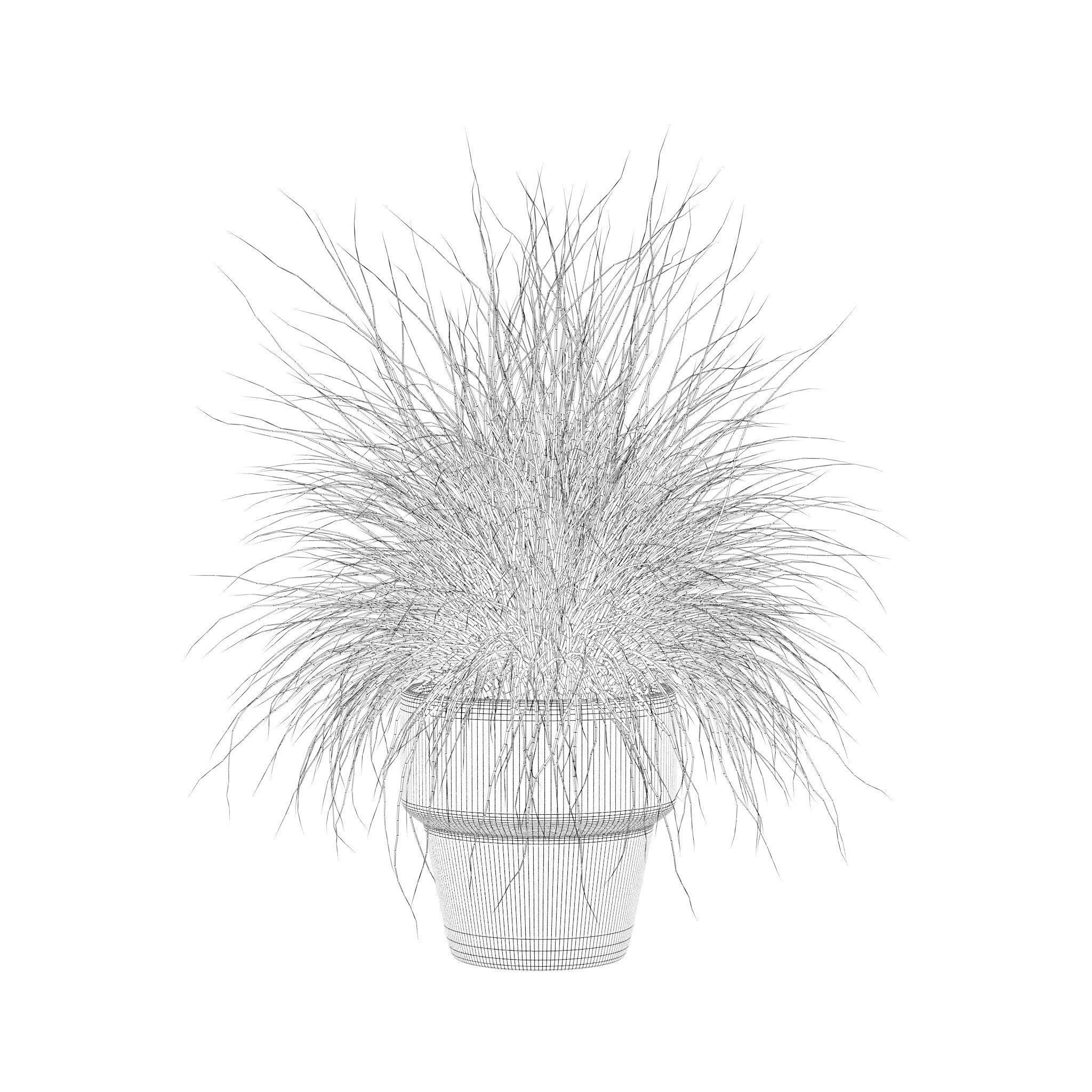 Grass in big flower pot 3D model_3