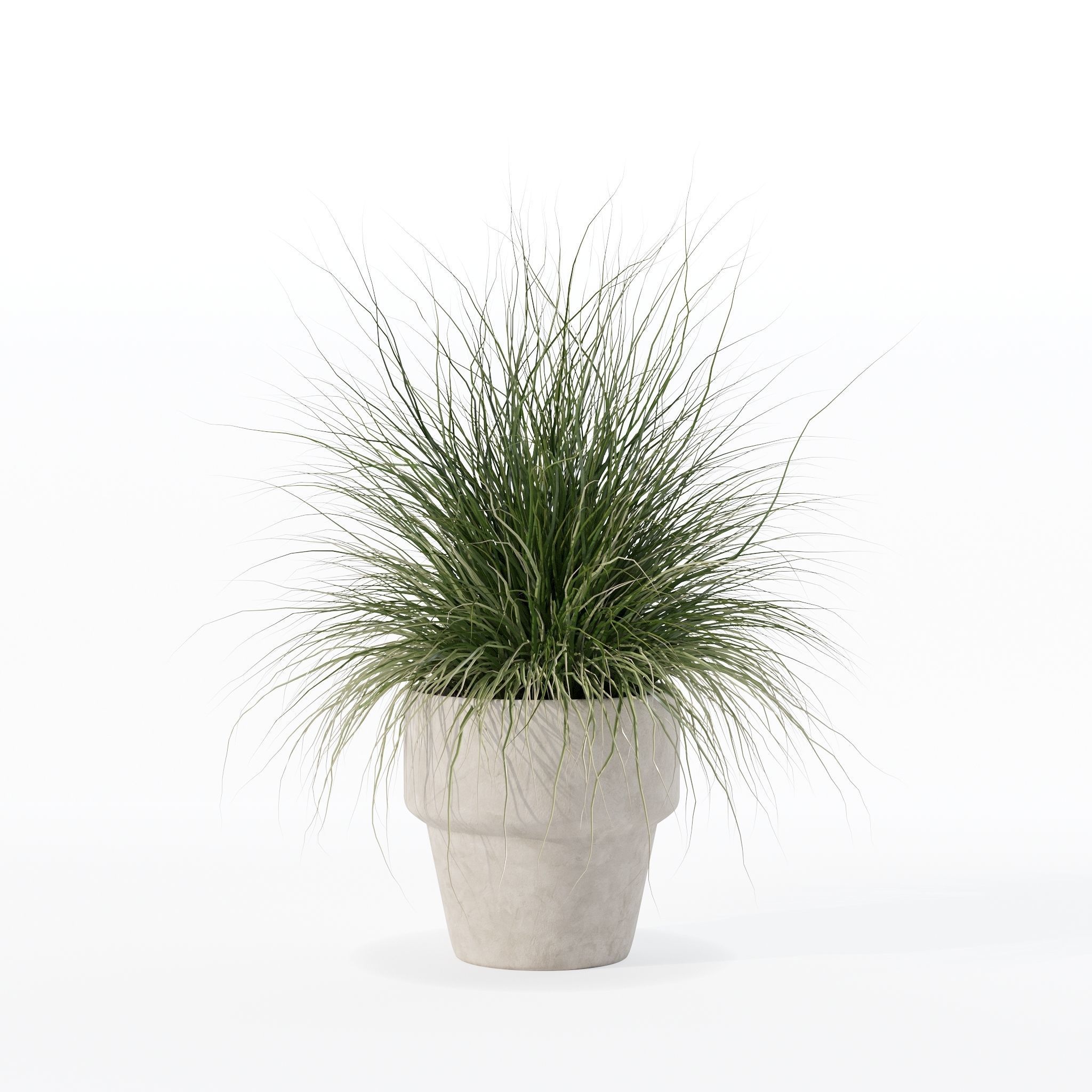 Grass in big flower pot 3D model_30