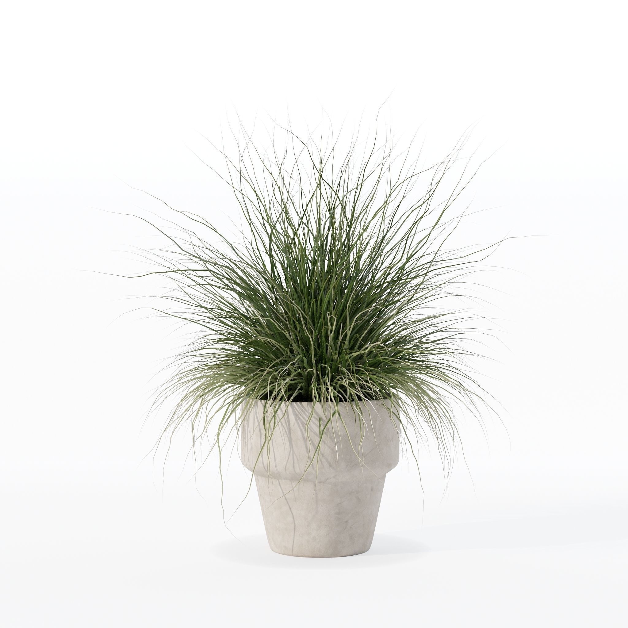 Grass in big flower pot 3D model_21