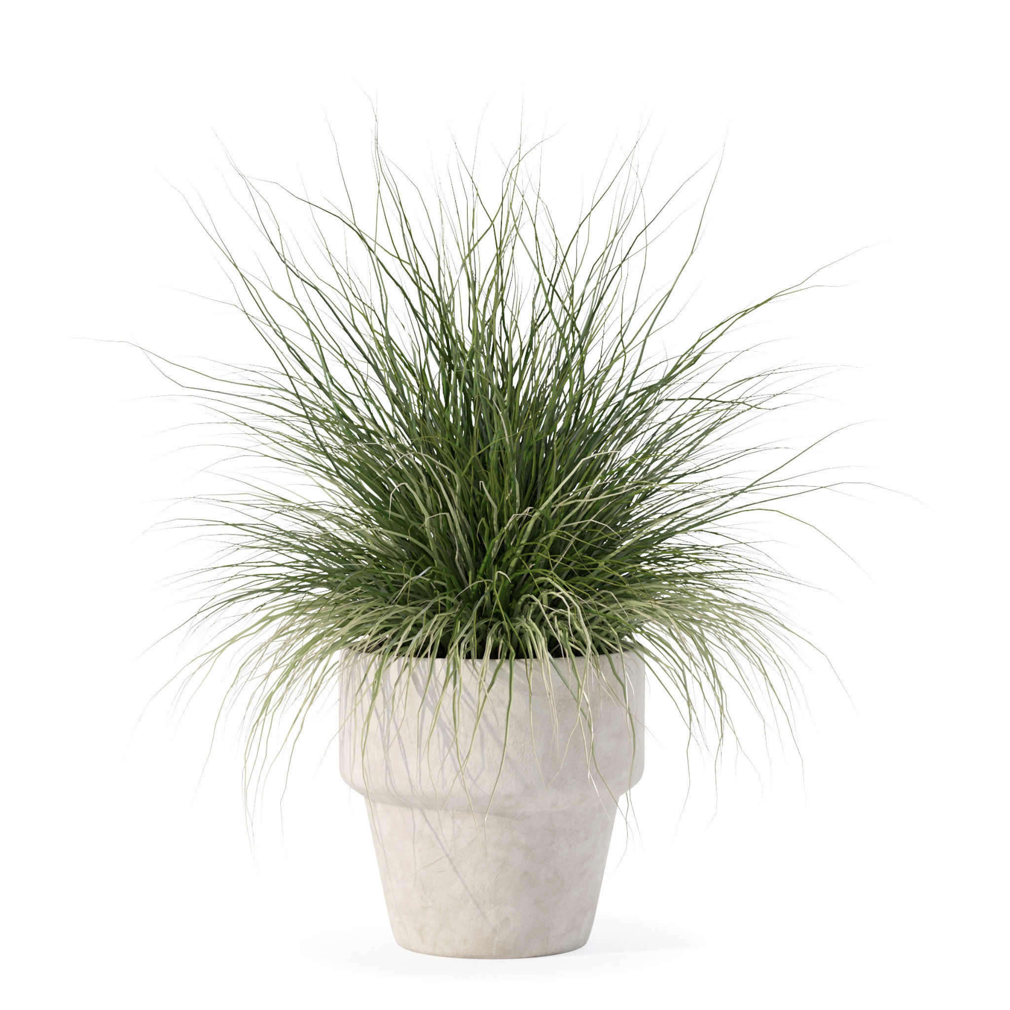 Grass in big flower pot 3D model_1