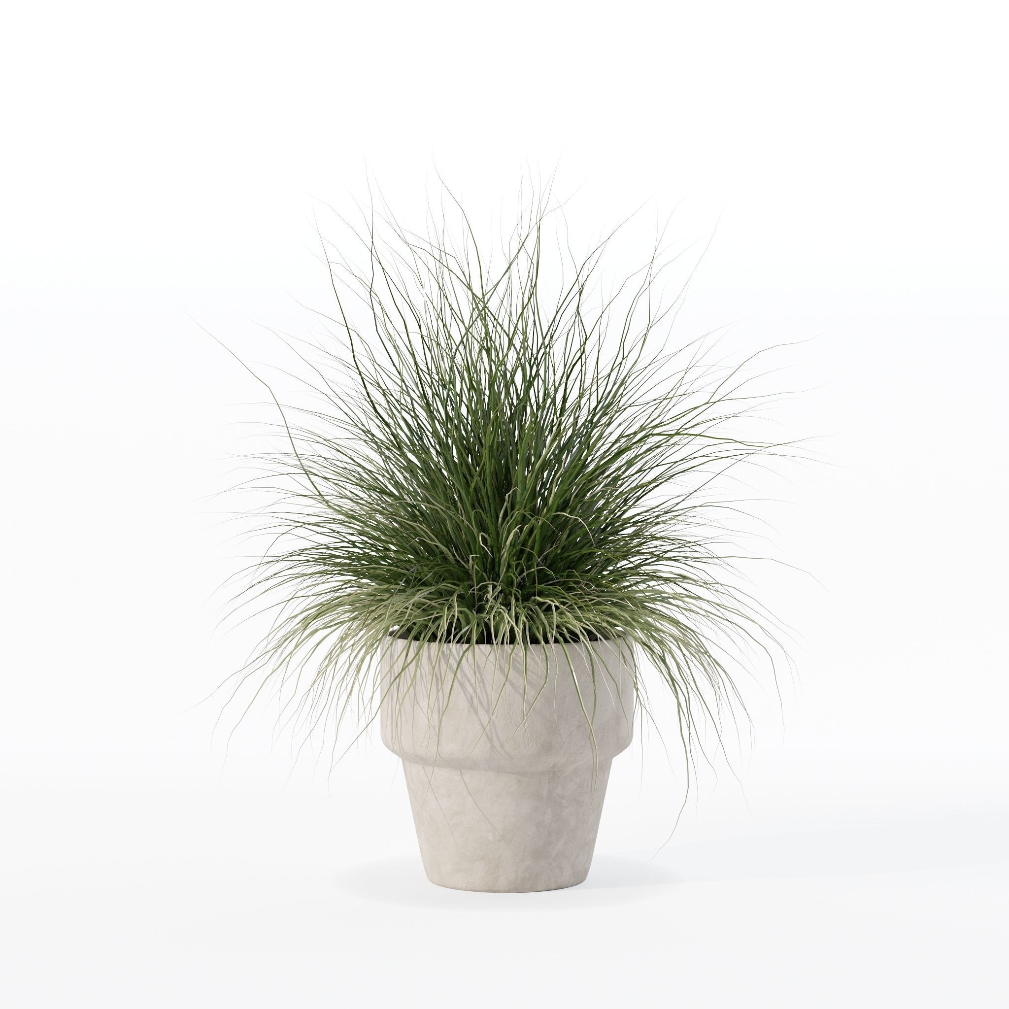 Grass in big flower pot 3D model_14