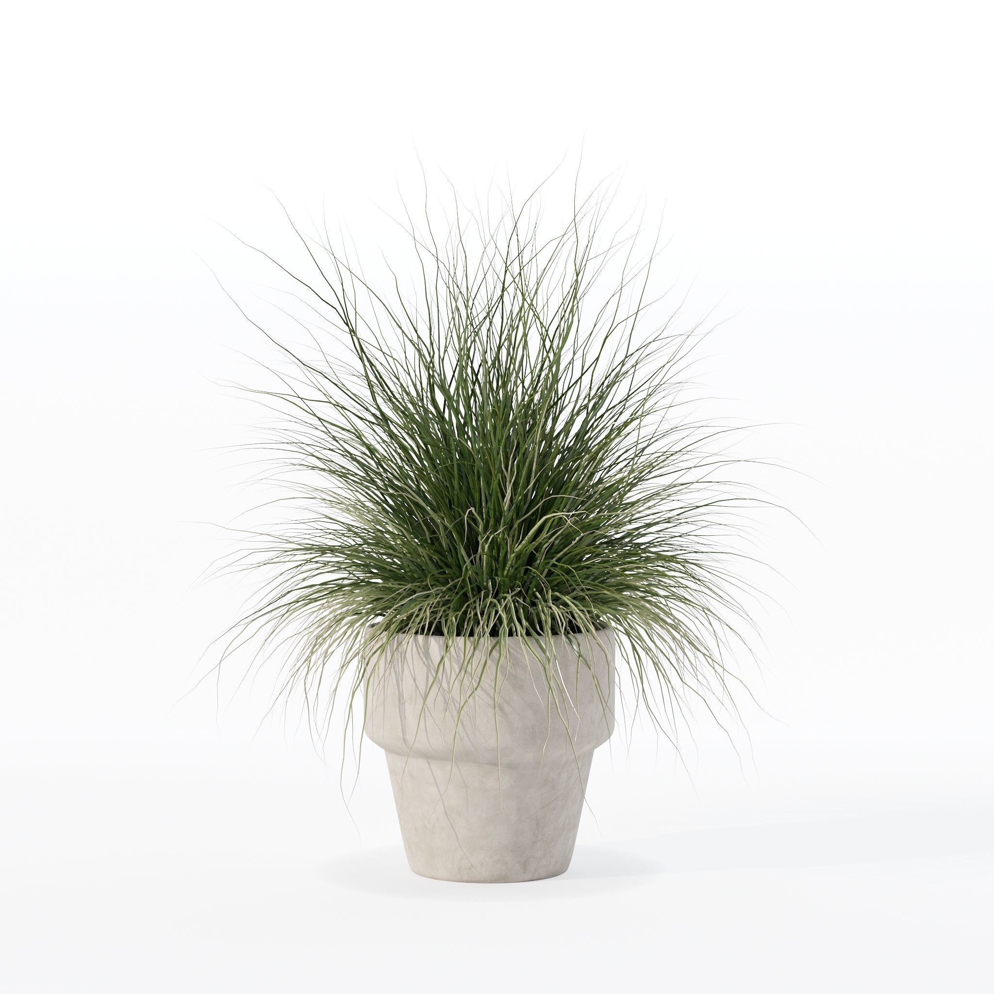 Grass in big flower pot 3D model_8