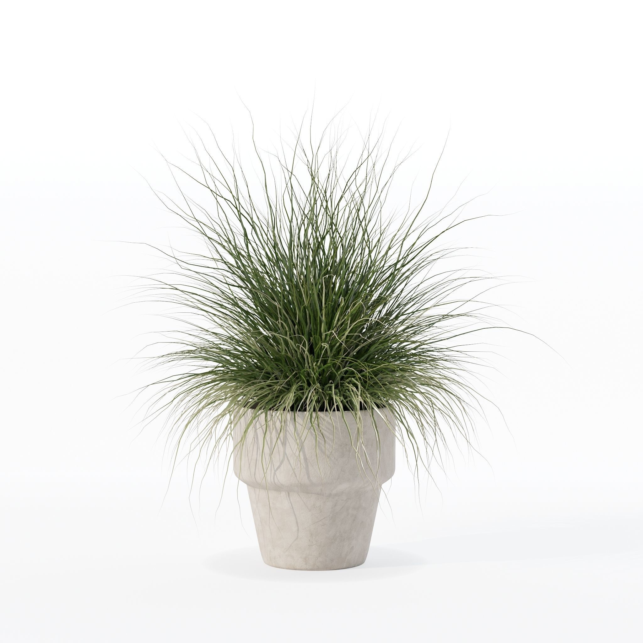 Grass in big flower pot 3D model_11
