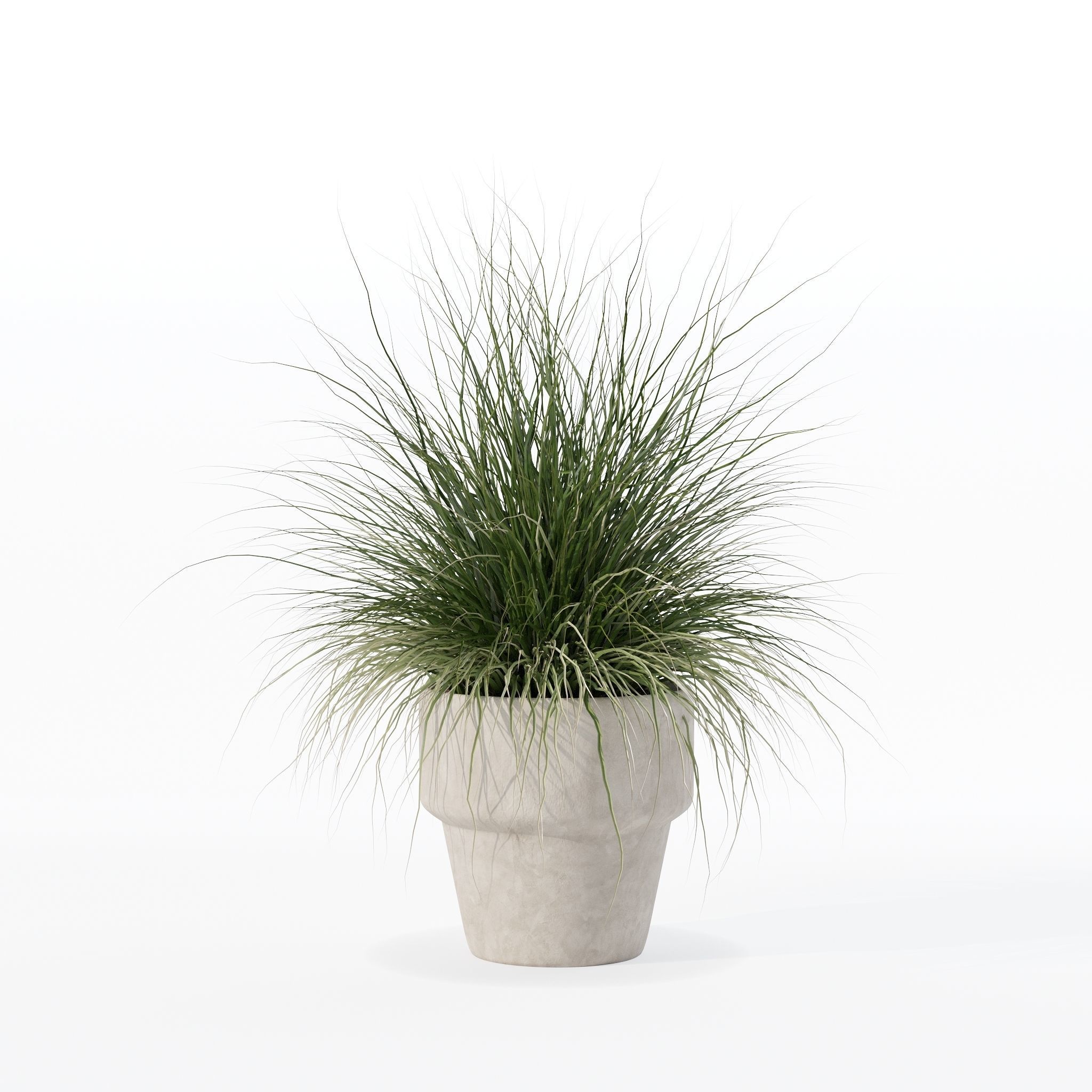 Grass in big flower pot 3D model_17