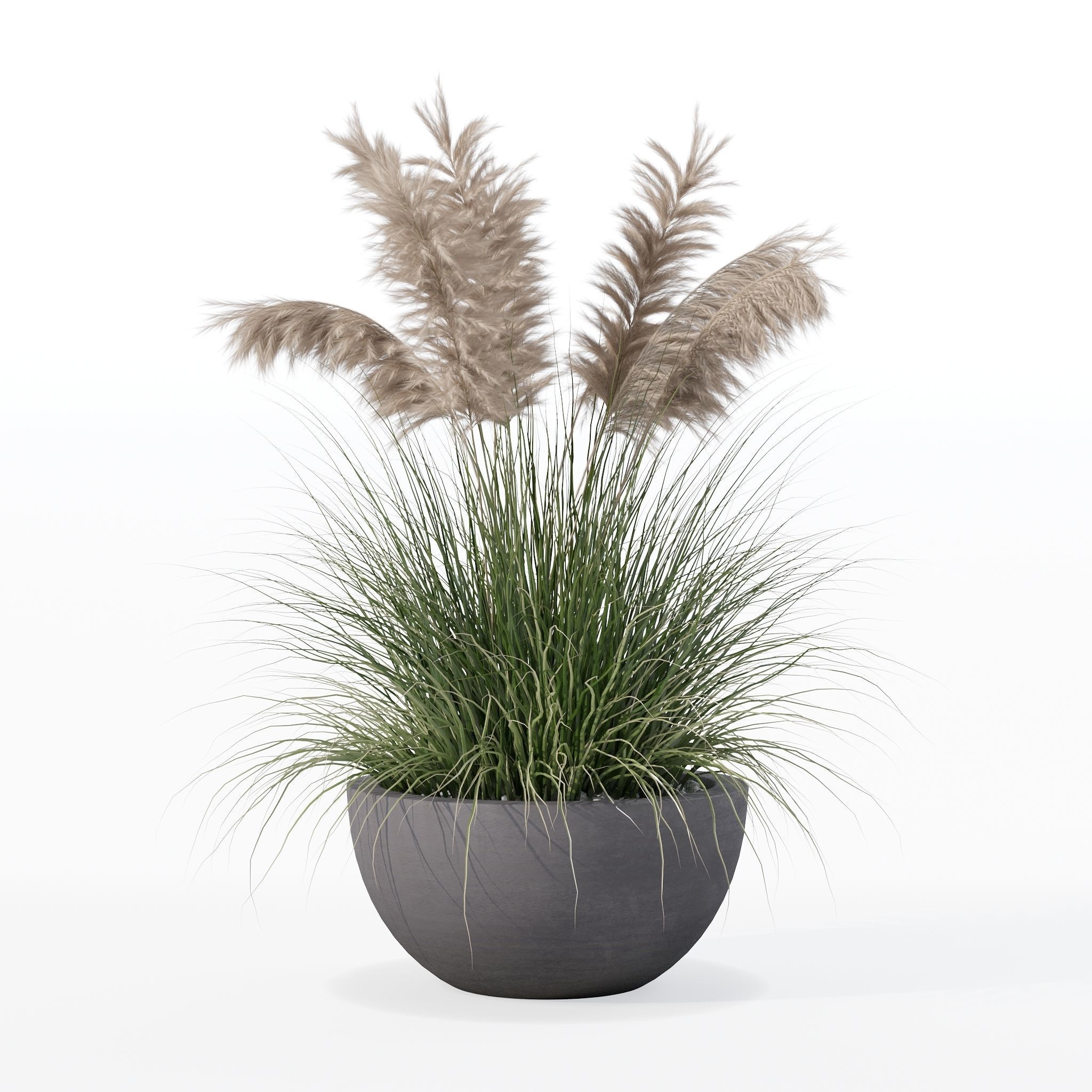 Grass in big flower pot 3D model_23