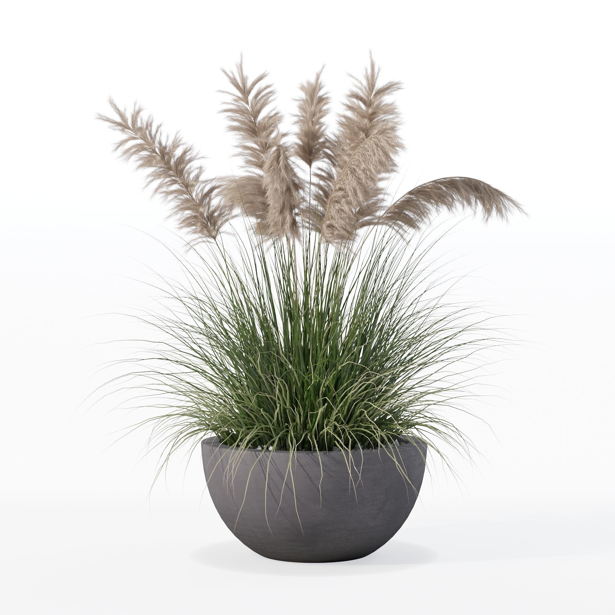 Grass in big flower pot 3D model_13
