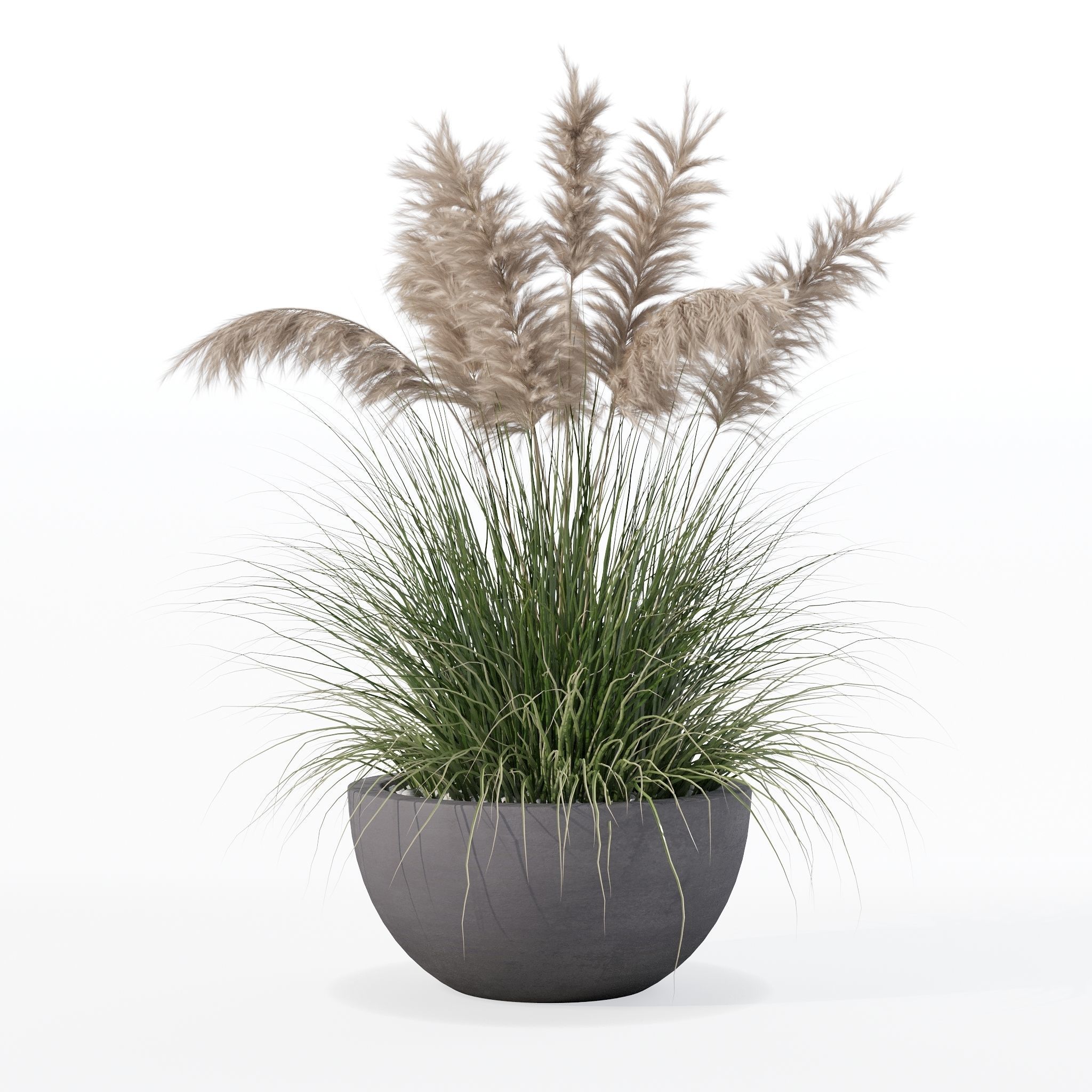 Grass in big flower pot 3D model_27