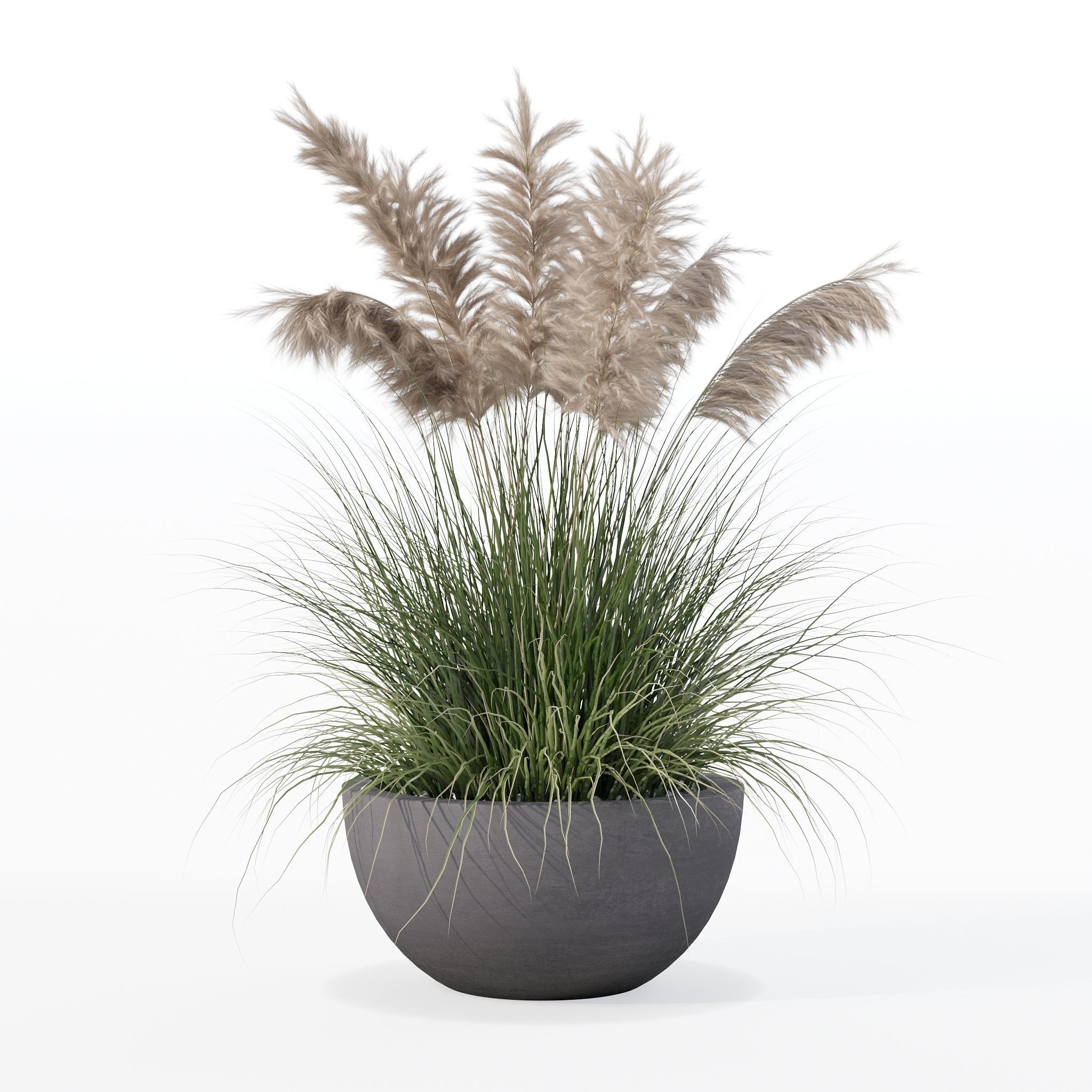 Grass in big flower pot 3D model_25