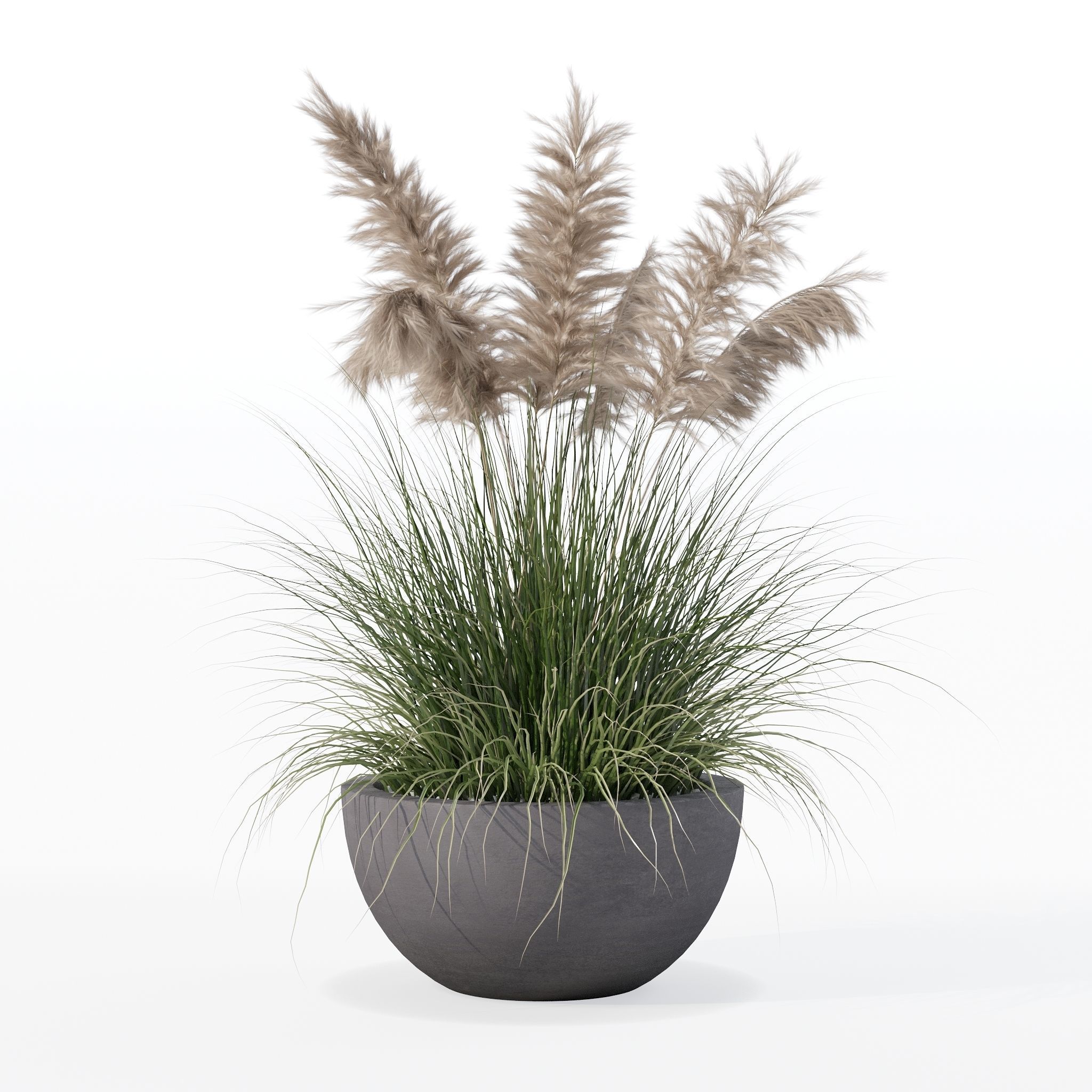 Grass in big flower pot 3D model_26