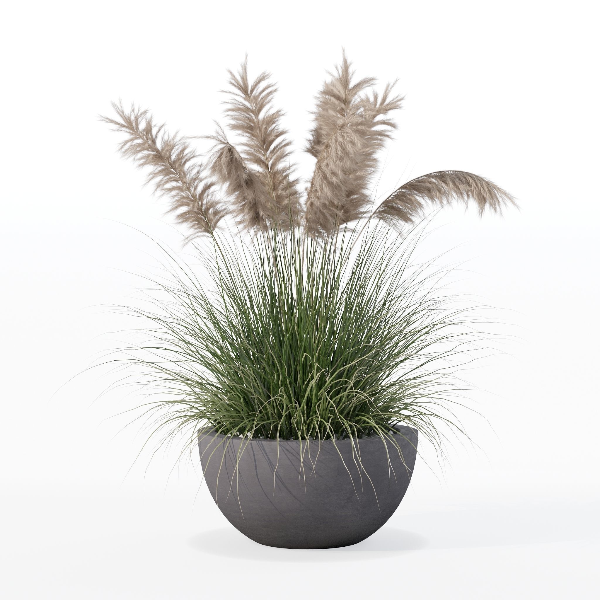 Grass in big flower pot 3D model_20