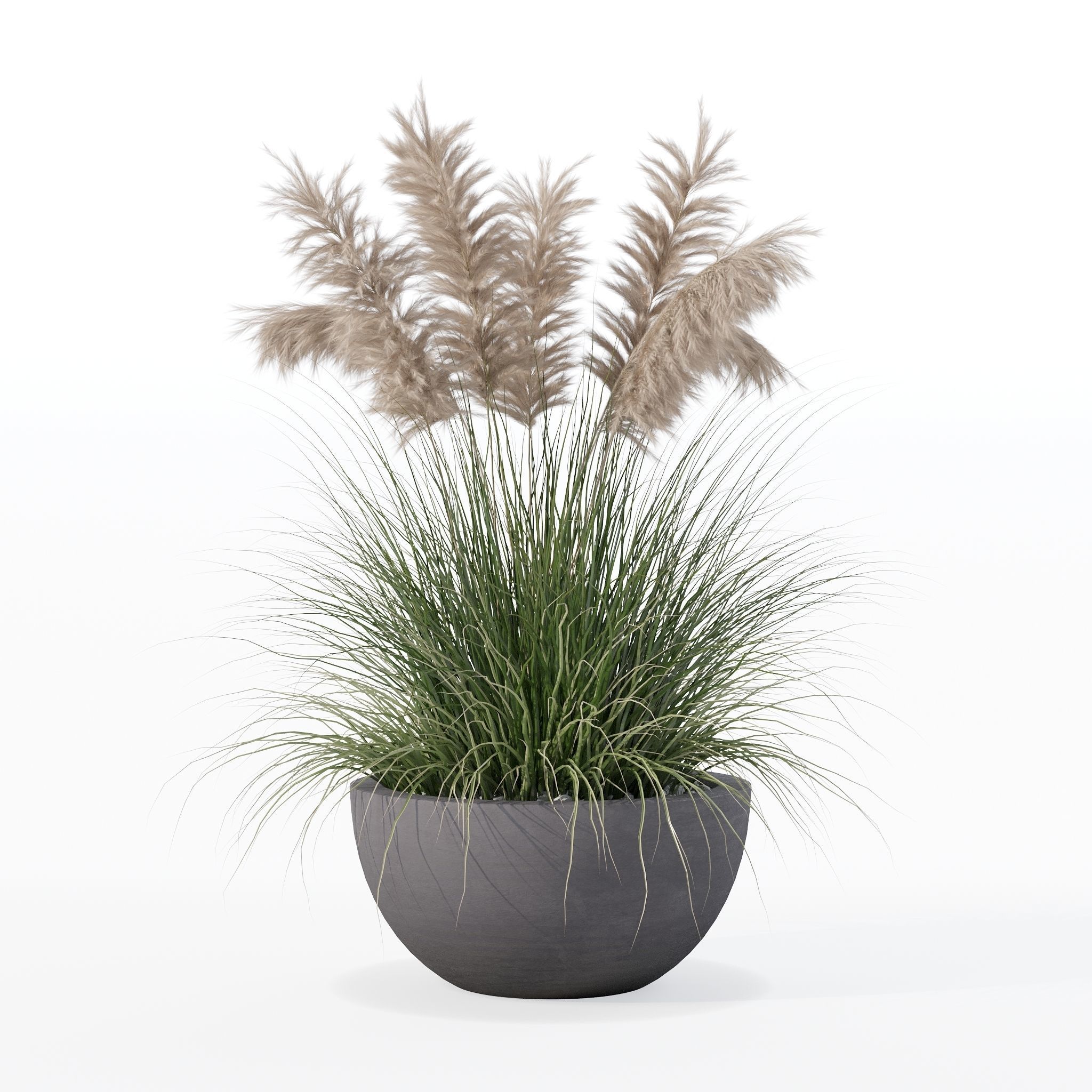 Grass in big flower pot 3D model_11