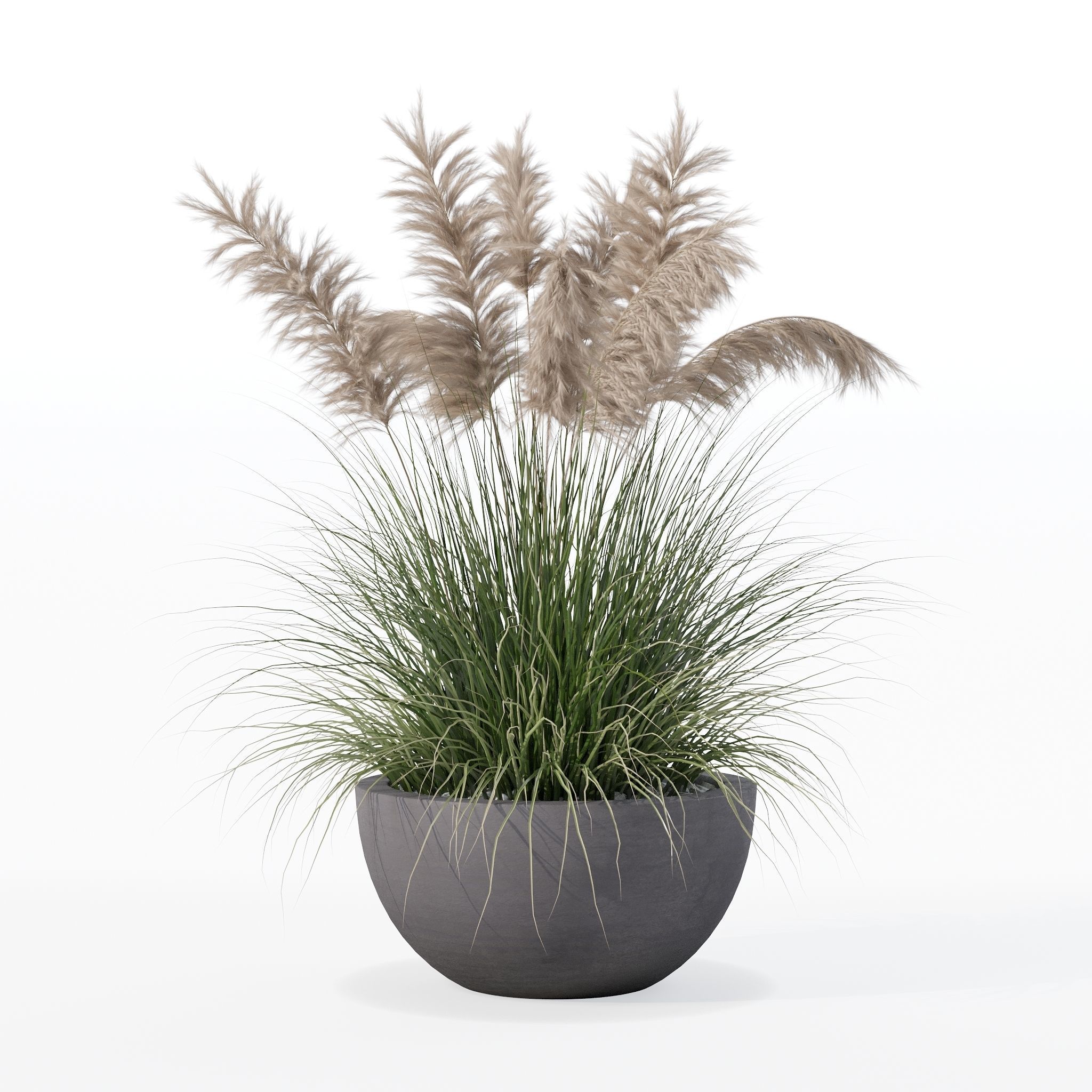 Grass in big flower pot 3D model_28