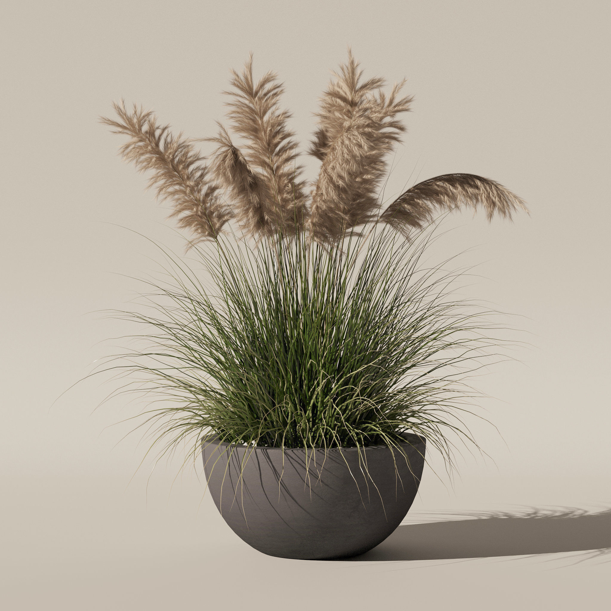 Grass in big flower pot 3D model_5