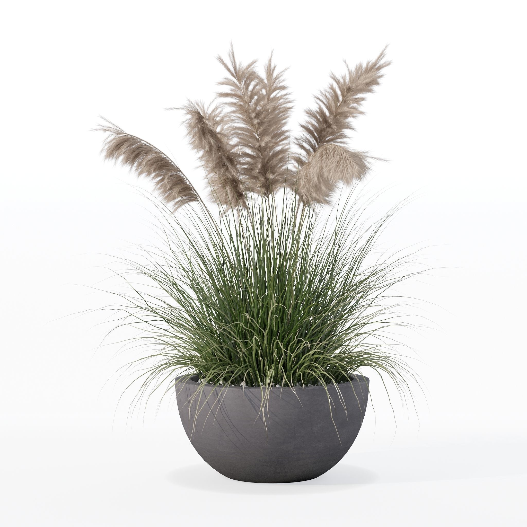 Grass in big flower pot 3D model_10