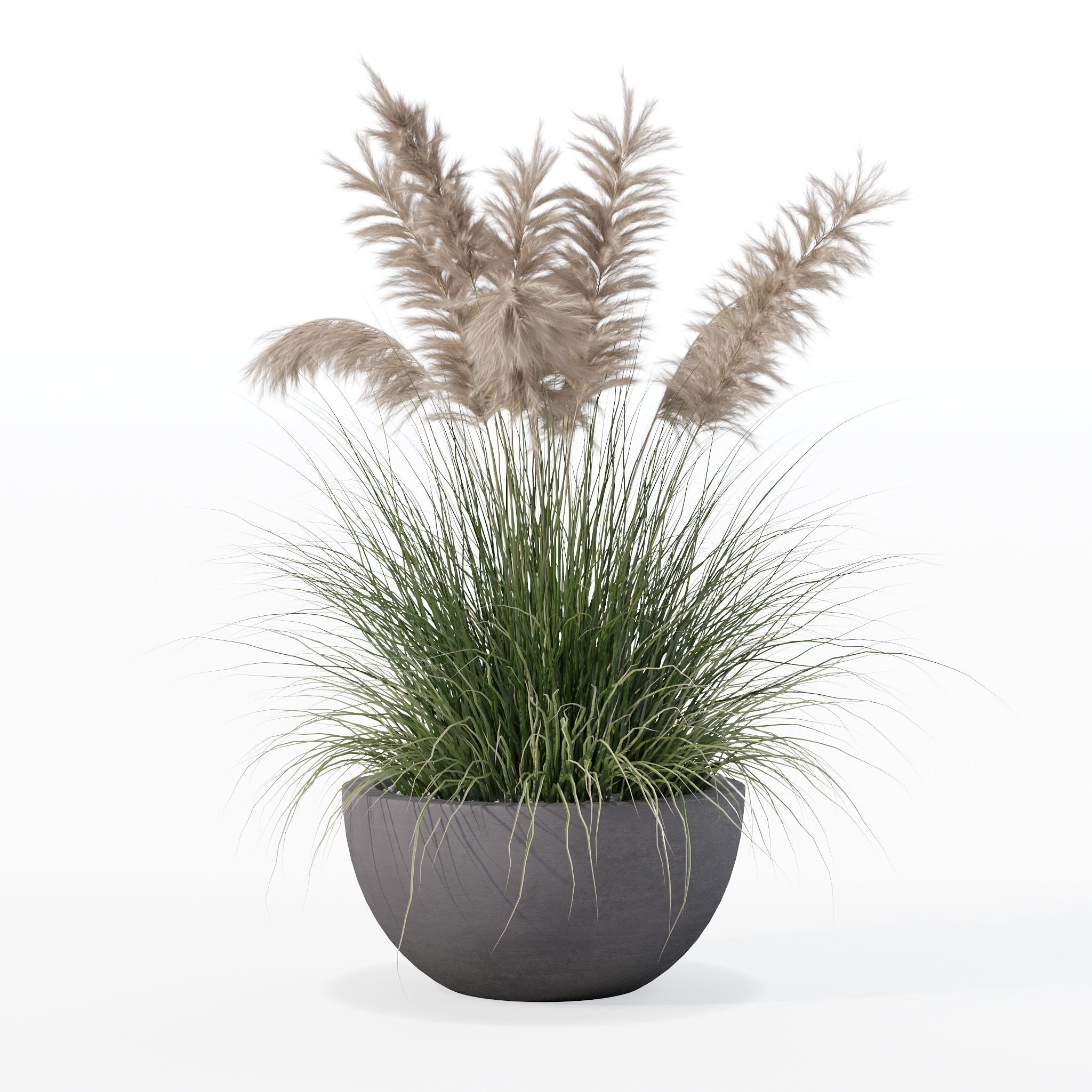 Grass in big flower pot 3D model_29