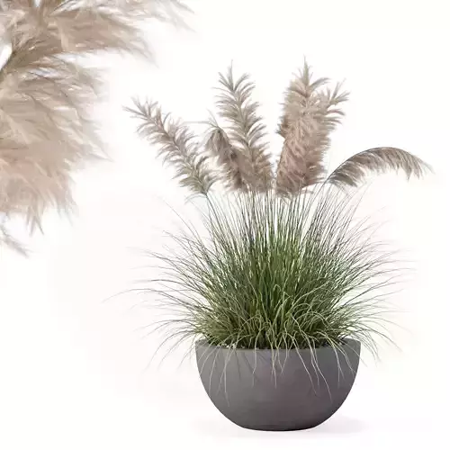 Grass in big flower pot 3D model Grass in big flower pot 3D model